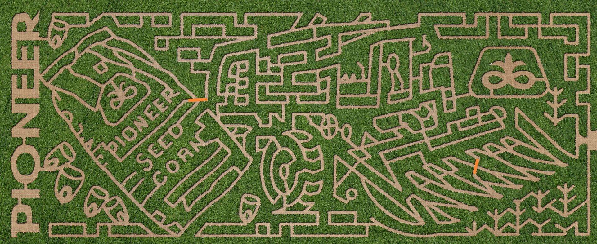 Maze 2010.JPG