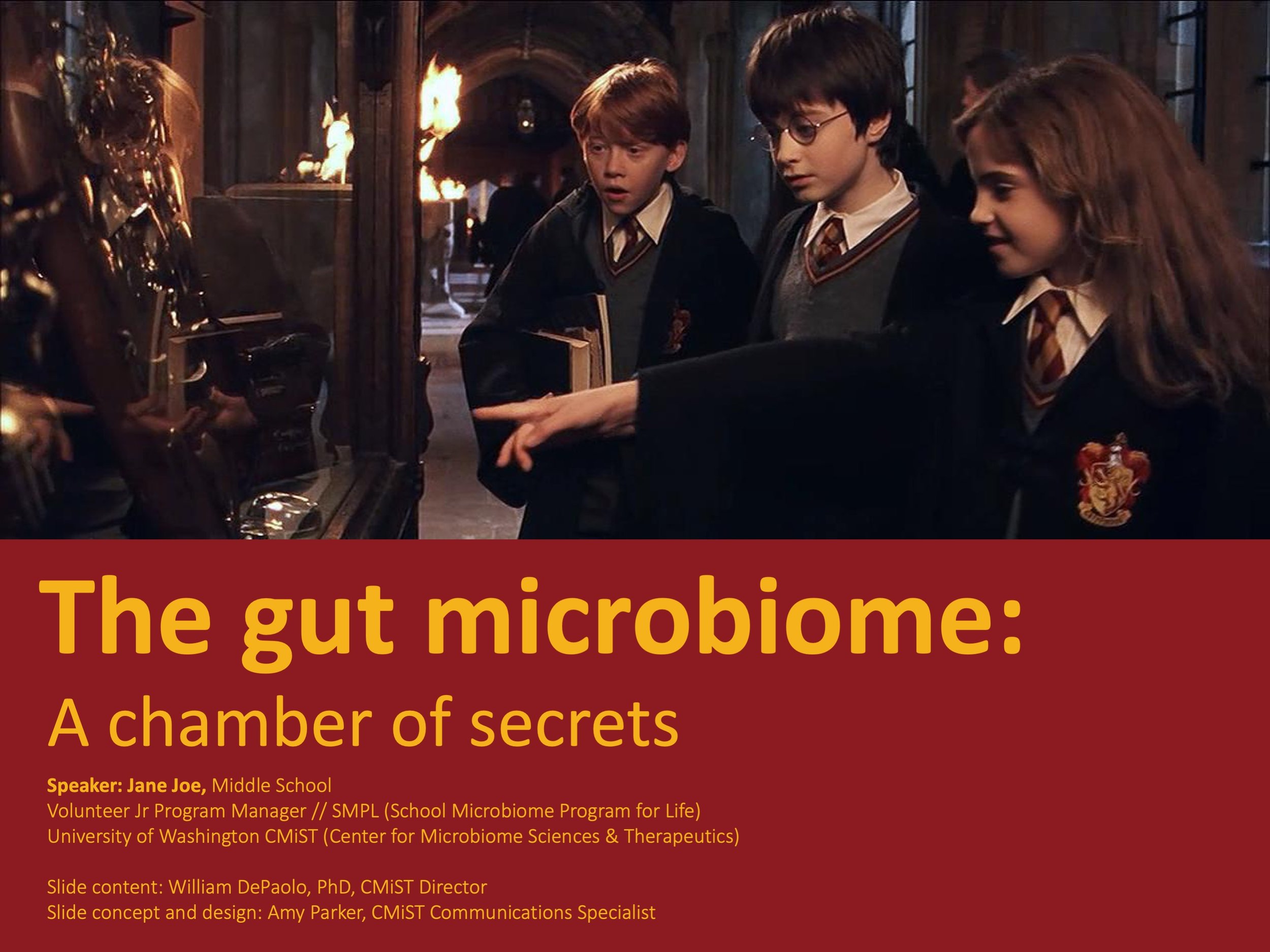 Microbiome_a chamber of secrets.jpg