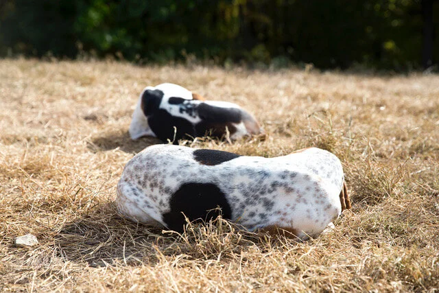 REBECCA LOYCHE - Untitled