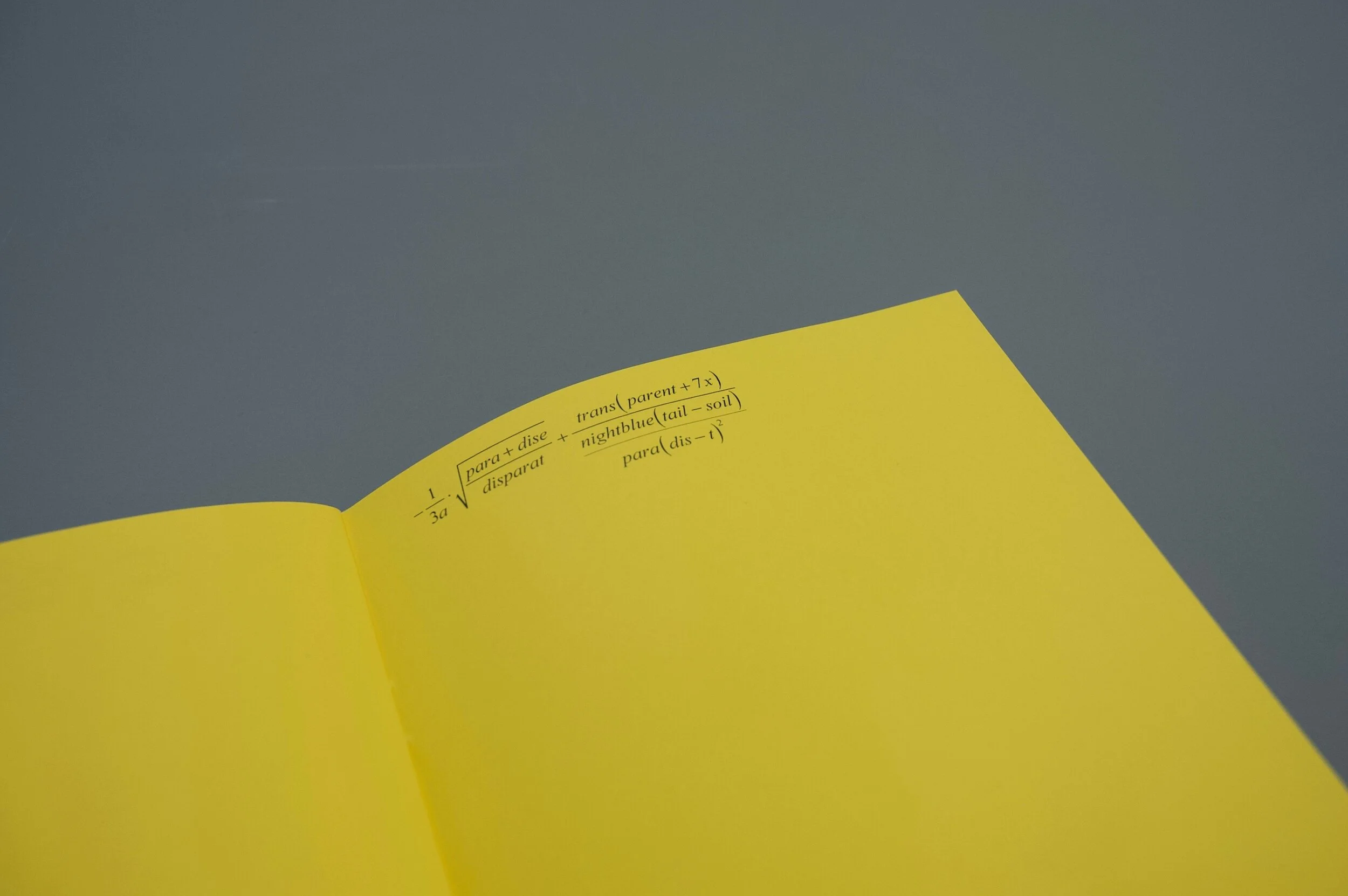 LISA MÜHLEISEN - XII / 12