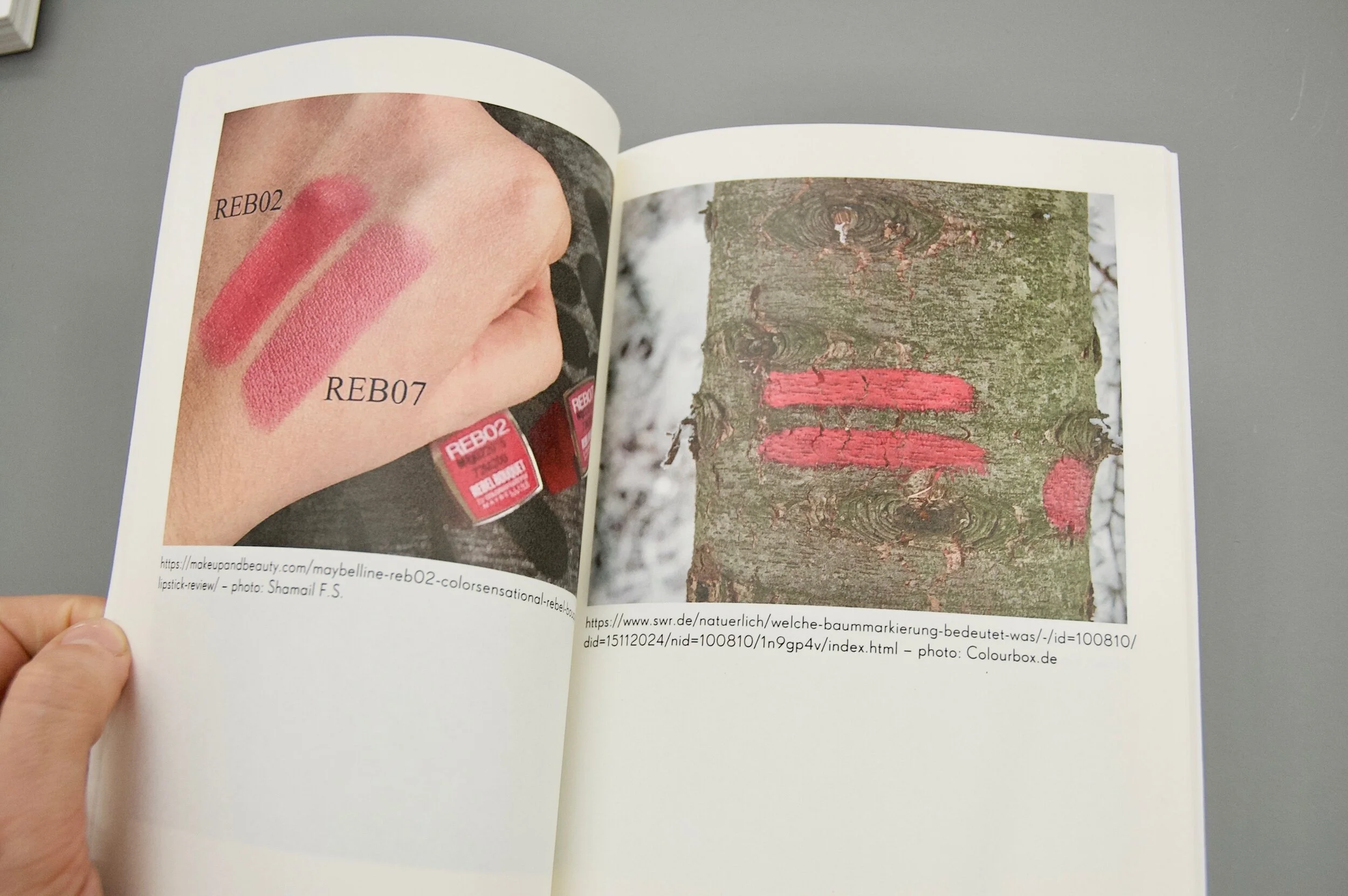 LISA MÜHLEISEN - X / 10