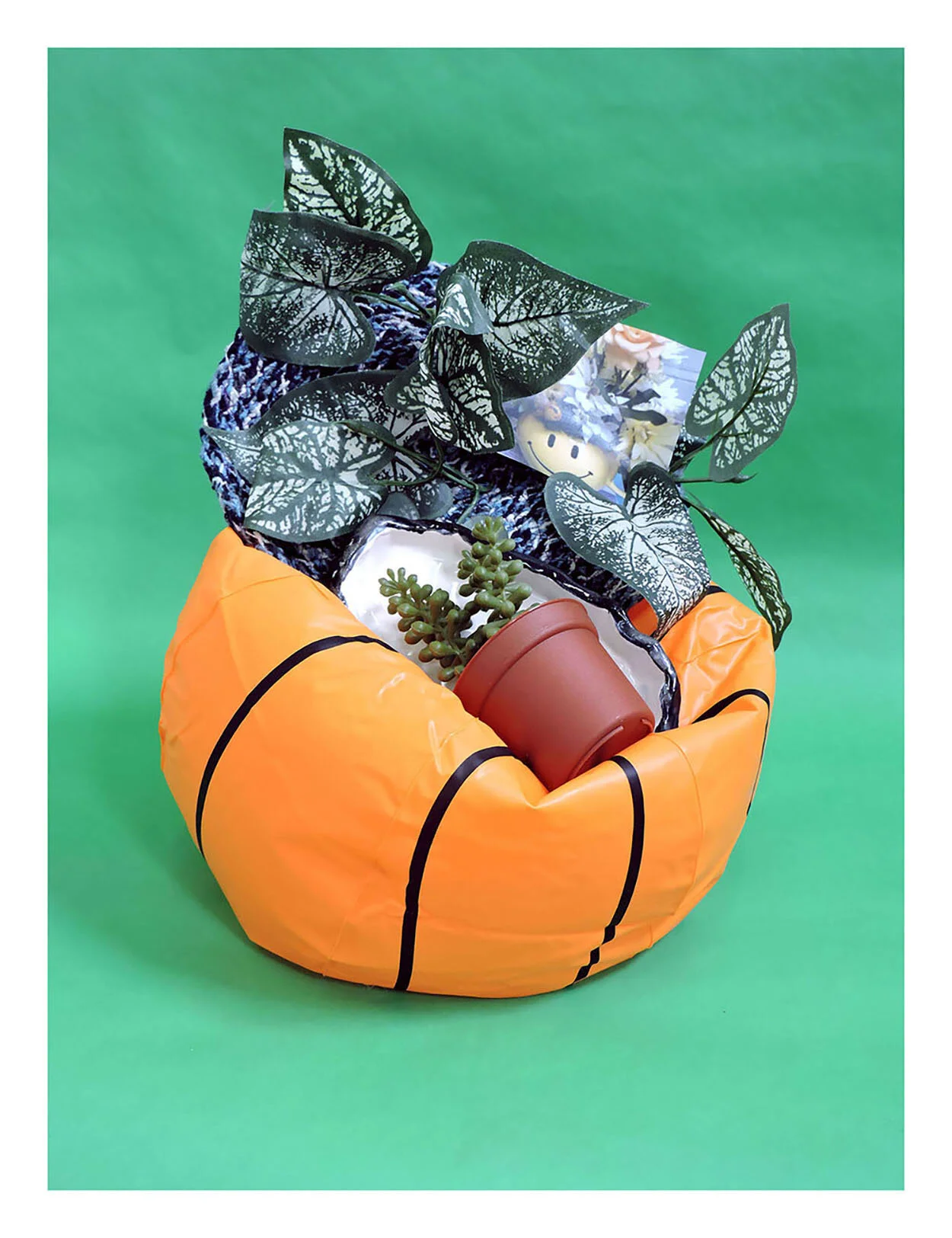 MEGAN STROECH - Catch and Release