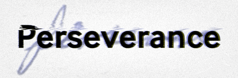 Perseverance2.gif