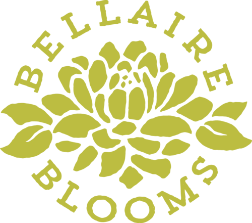 Bellaire Blooms 