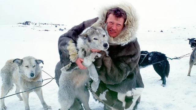 National Geographic Ultimate Explorer: Icedogs