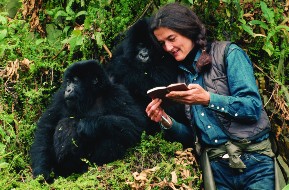 Screen Shot 2018-05-03 at 7.37.34 PM (2).png