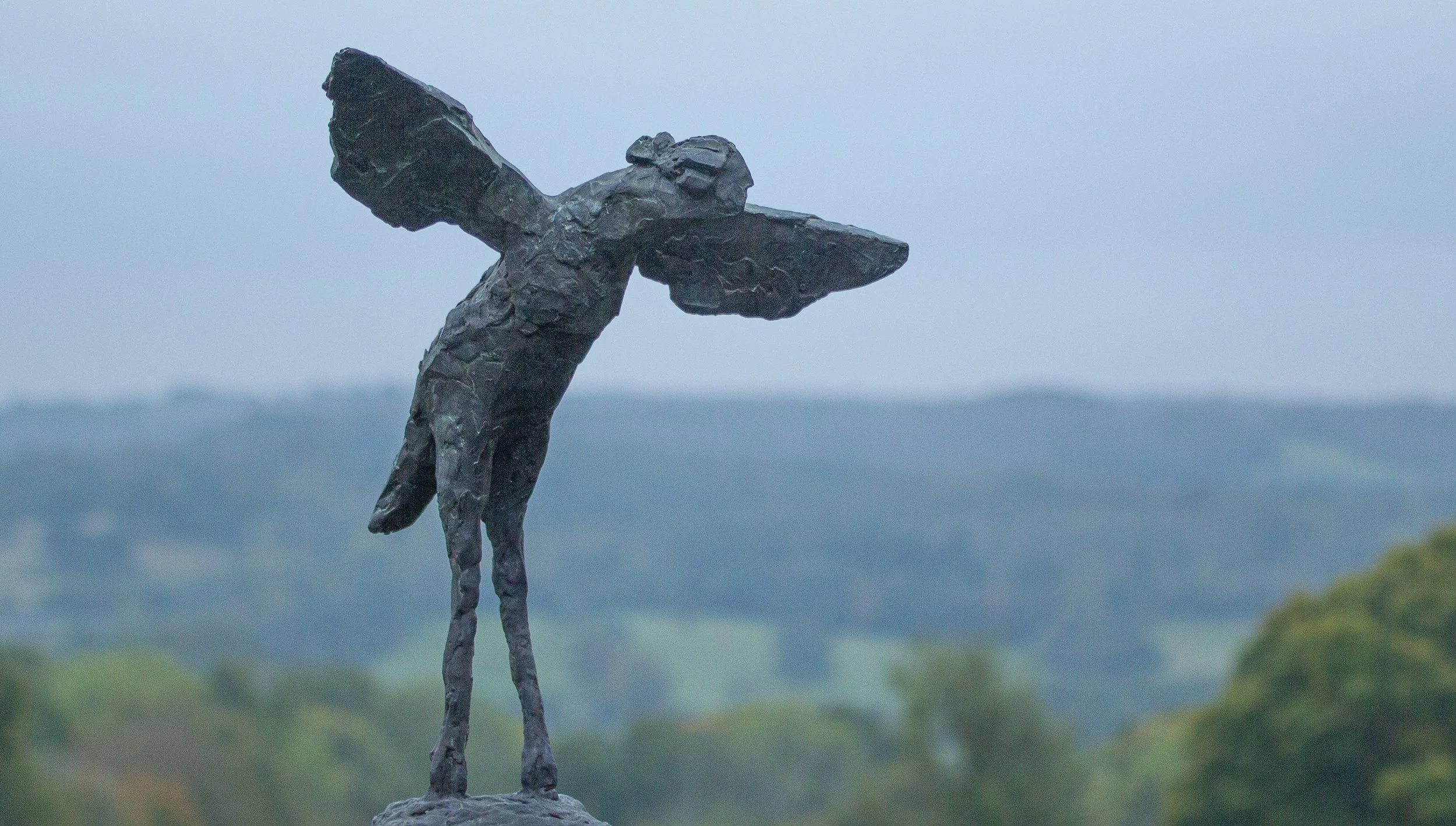 A dark metal sculpture of a bird with outstretched wings, standing on two legs, placed outdoors with a blurry landscape of trees and hills in the background.