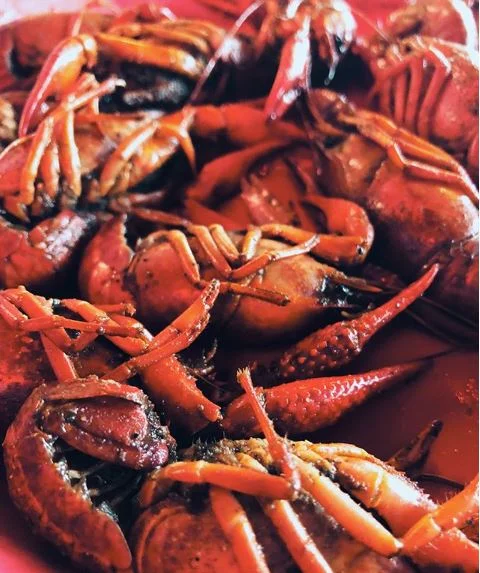 Culture Crawl: Lake Charles, Louisiana