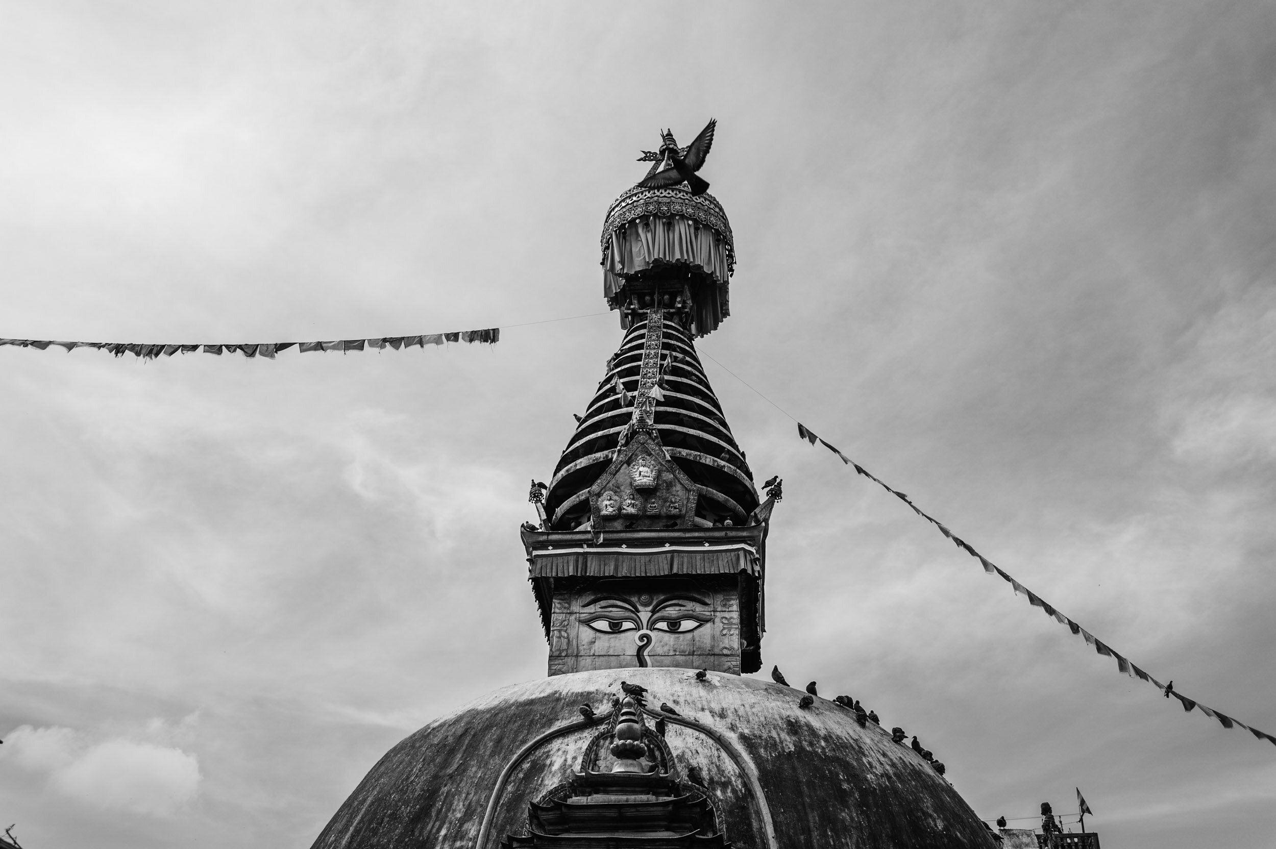 kathmandu-13.jpg