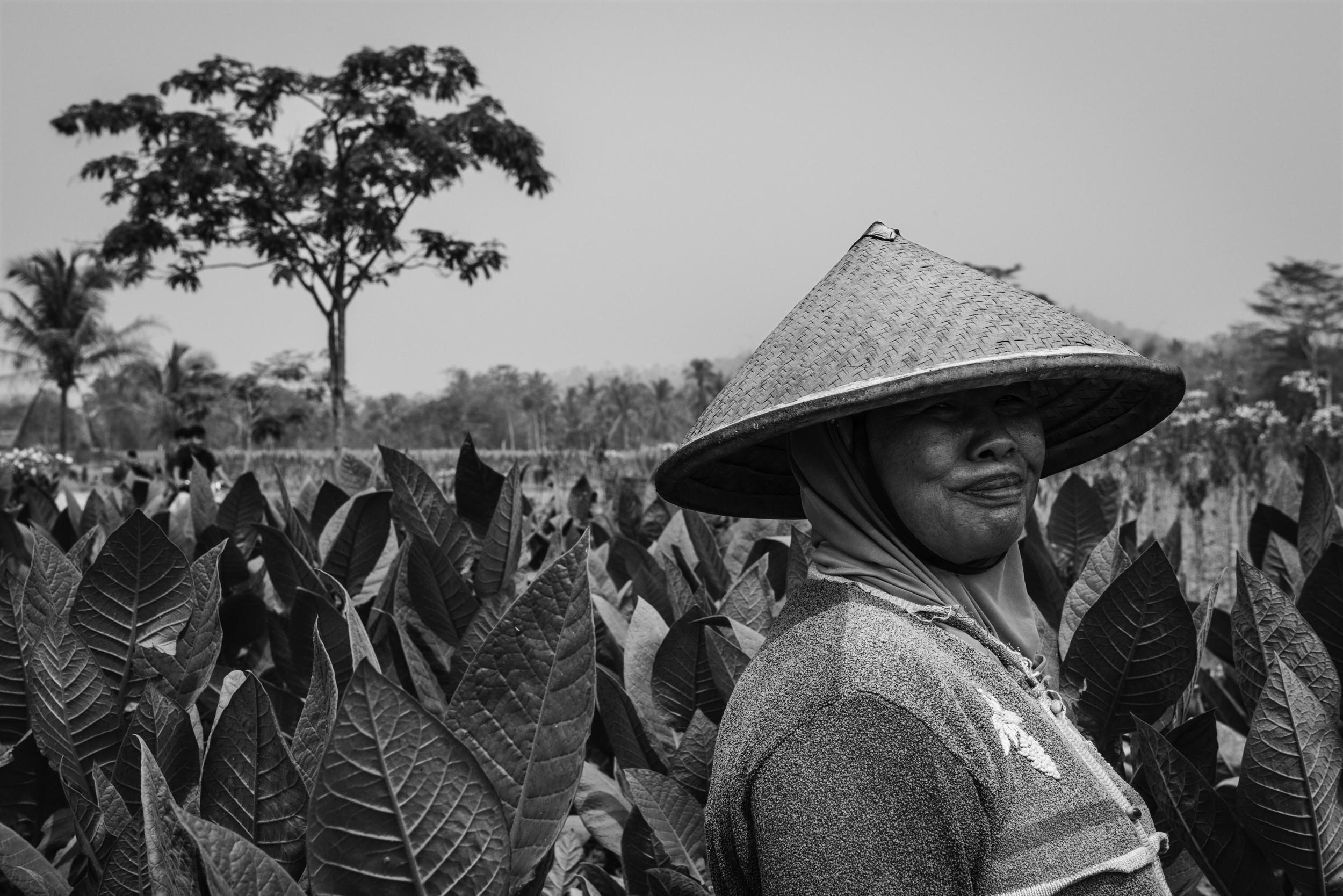 borobudor-13.jpg