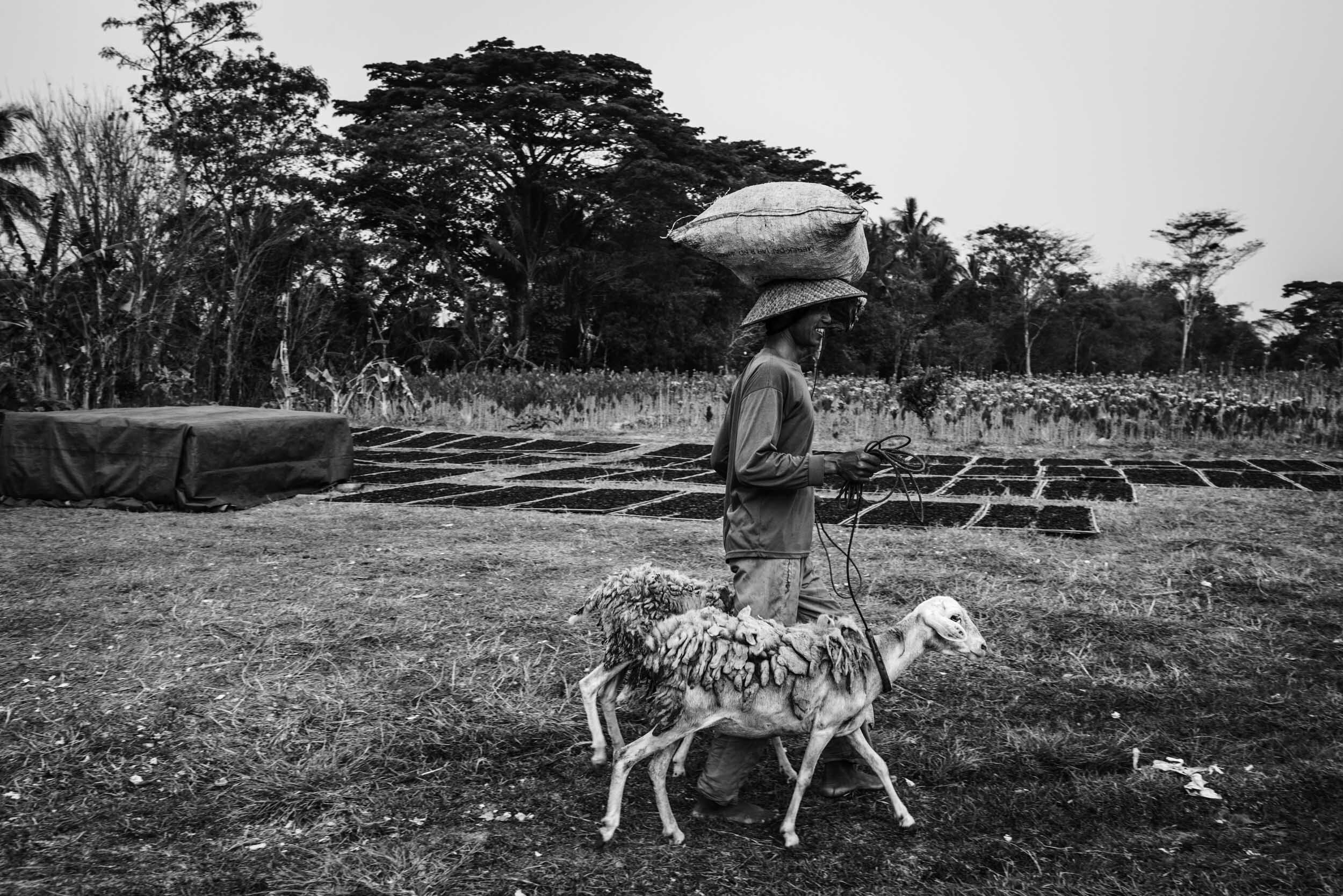 borobudor-15.jpg