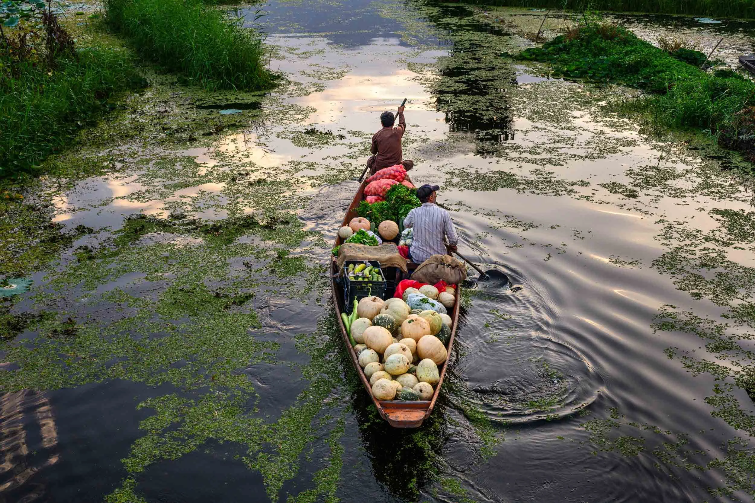 kashmir_web-2.jpg
