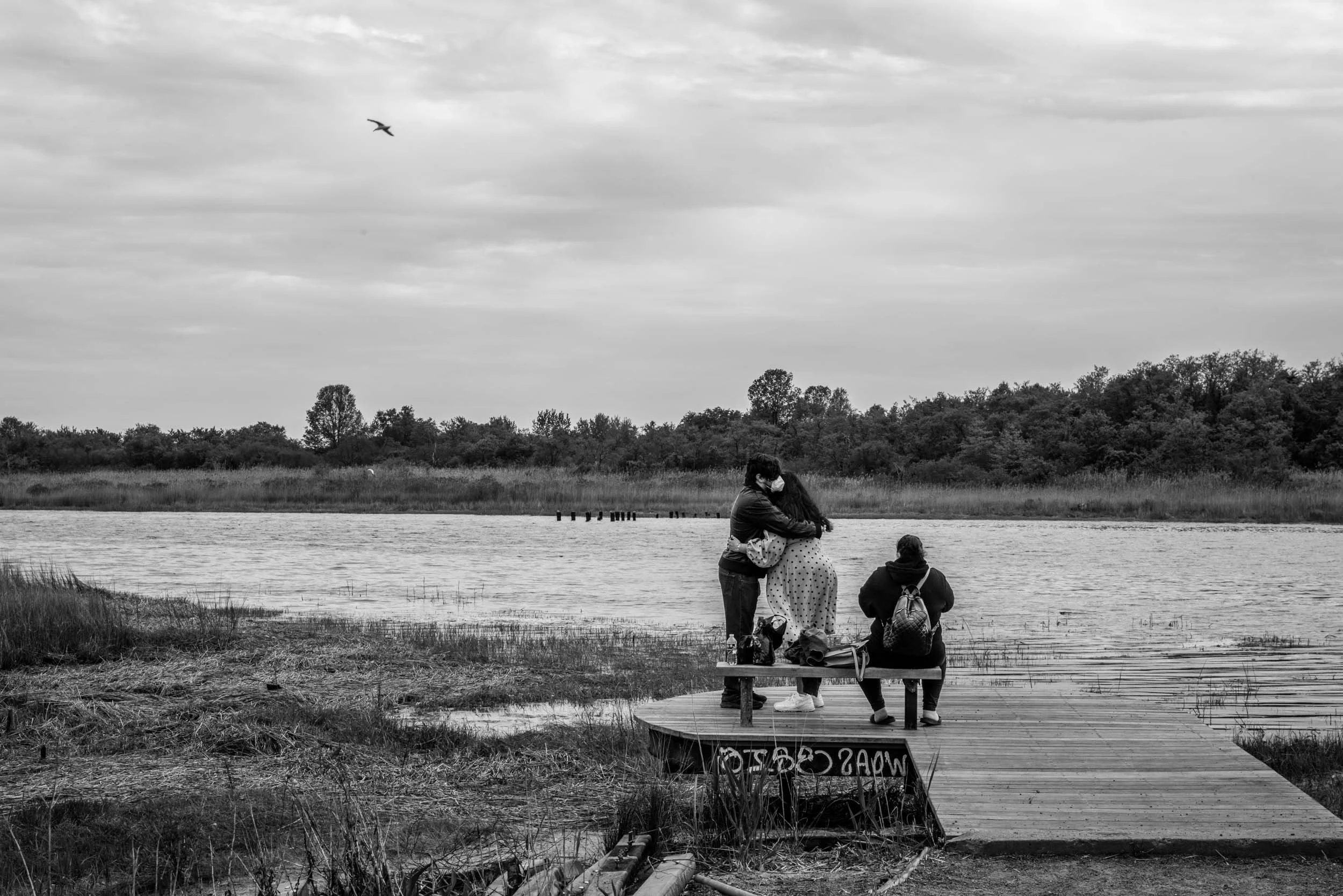 new covid_web-19.jpg