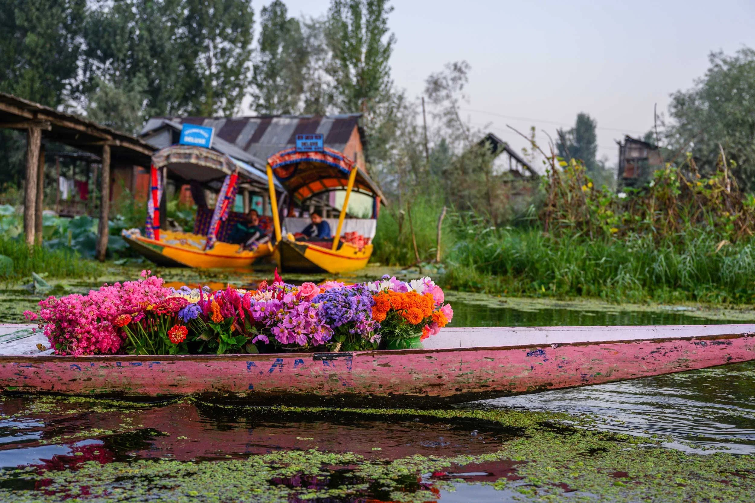 kashmir_web-9.jpg