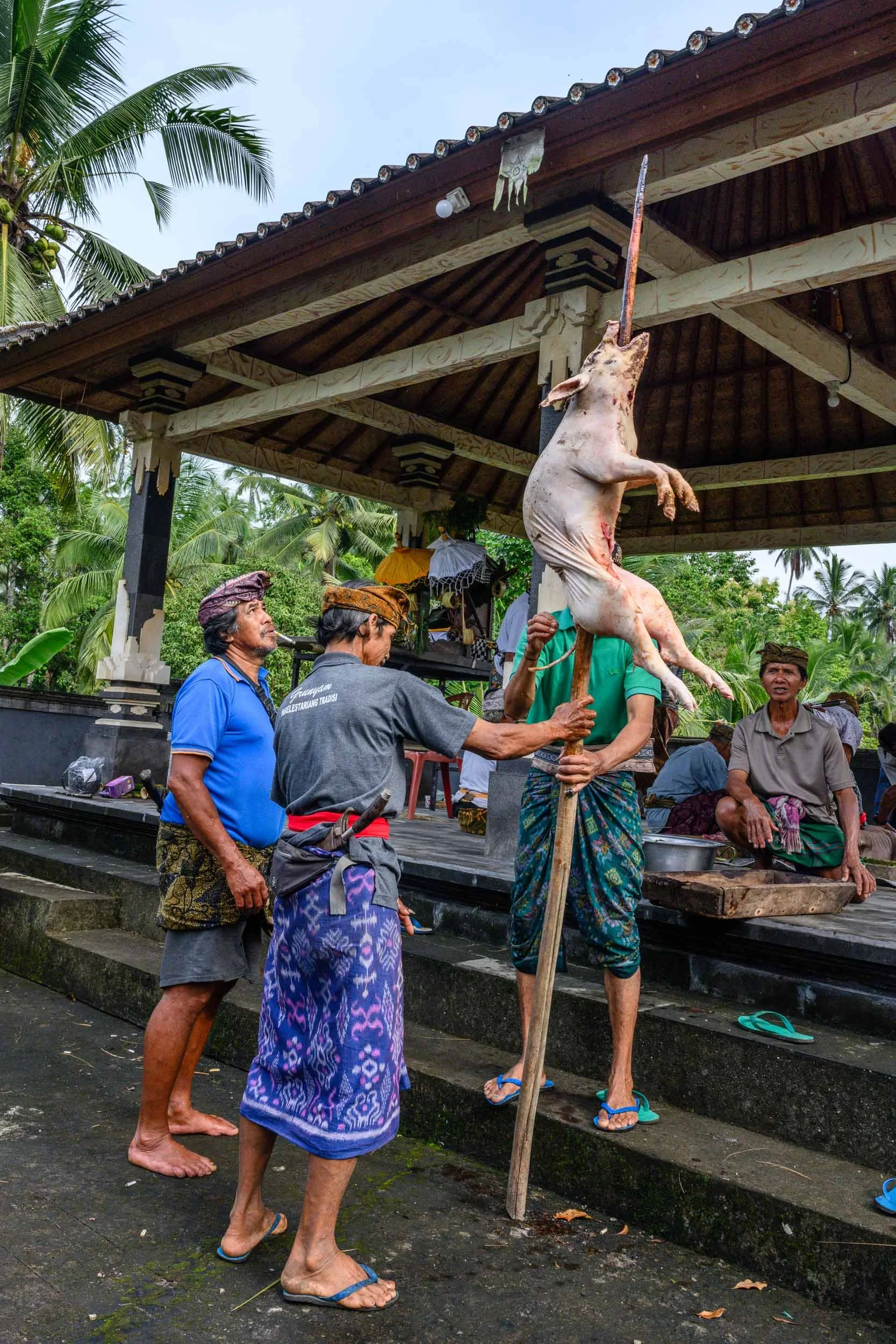 bali_web-33.jpg