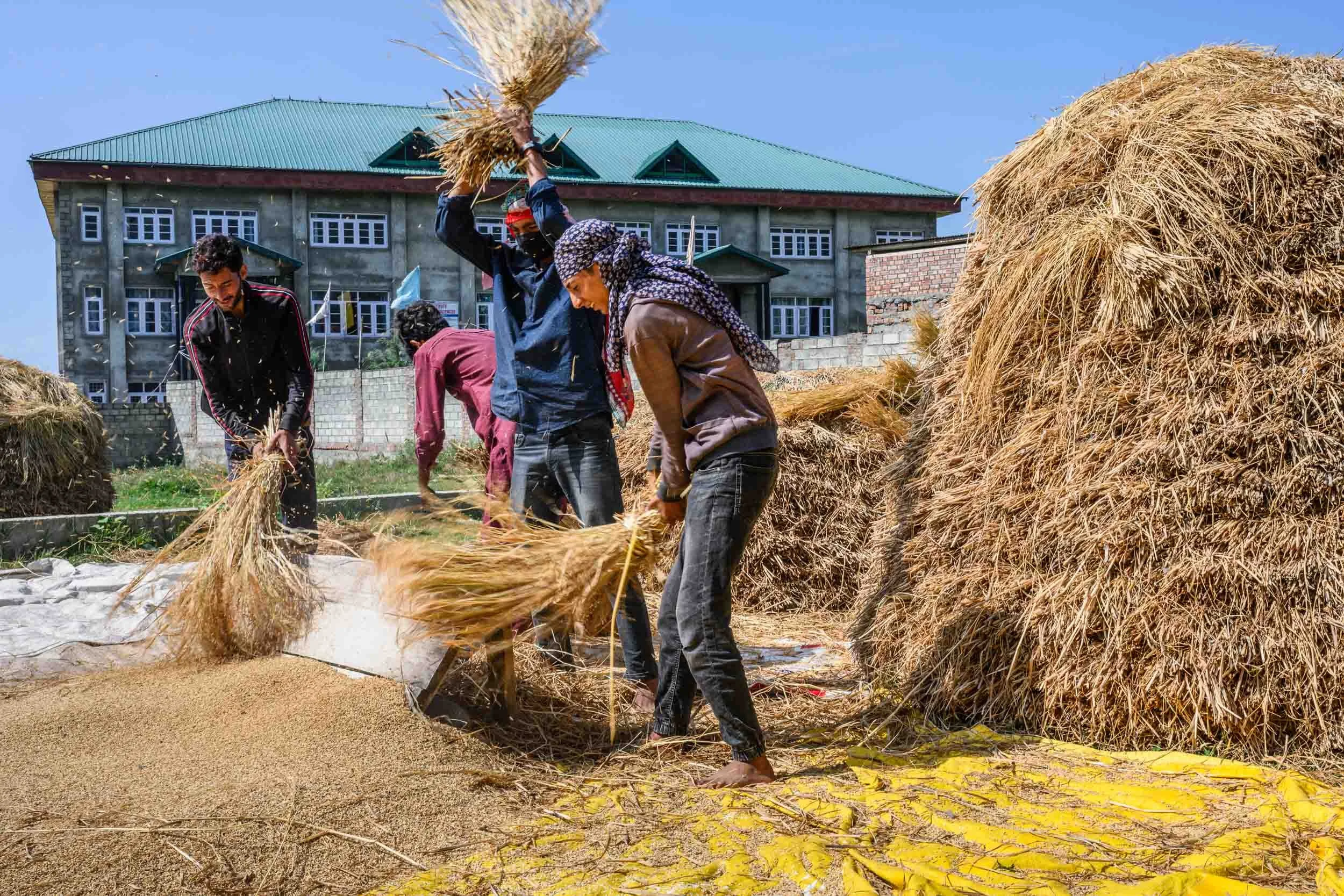 kashmir_web-13.jpg