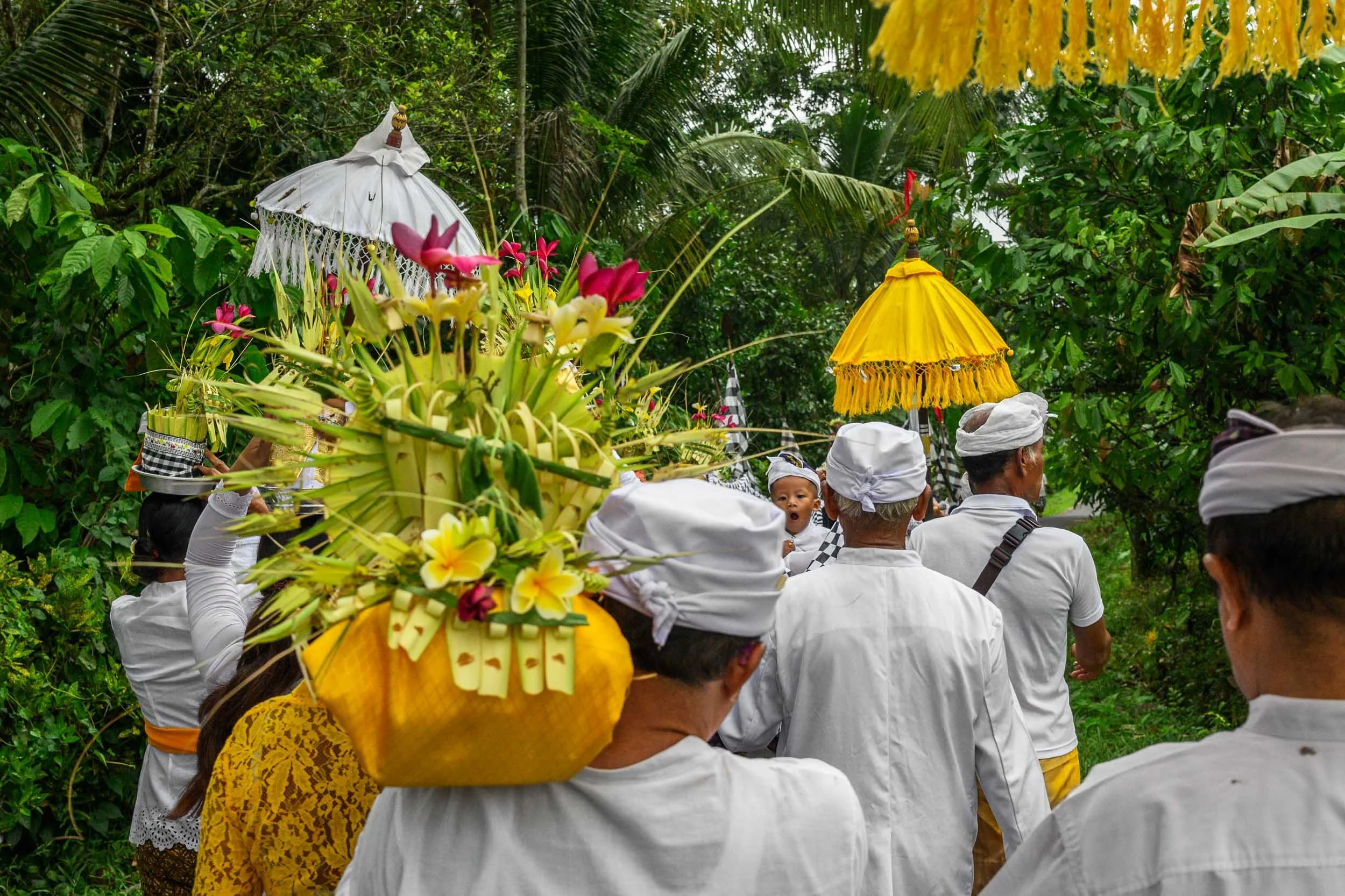 bali_web-35.jpg