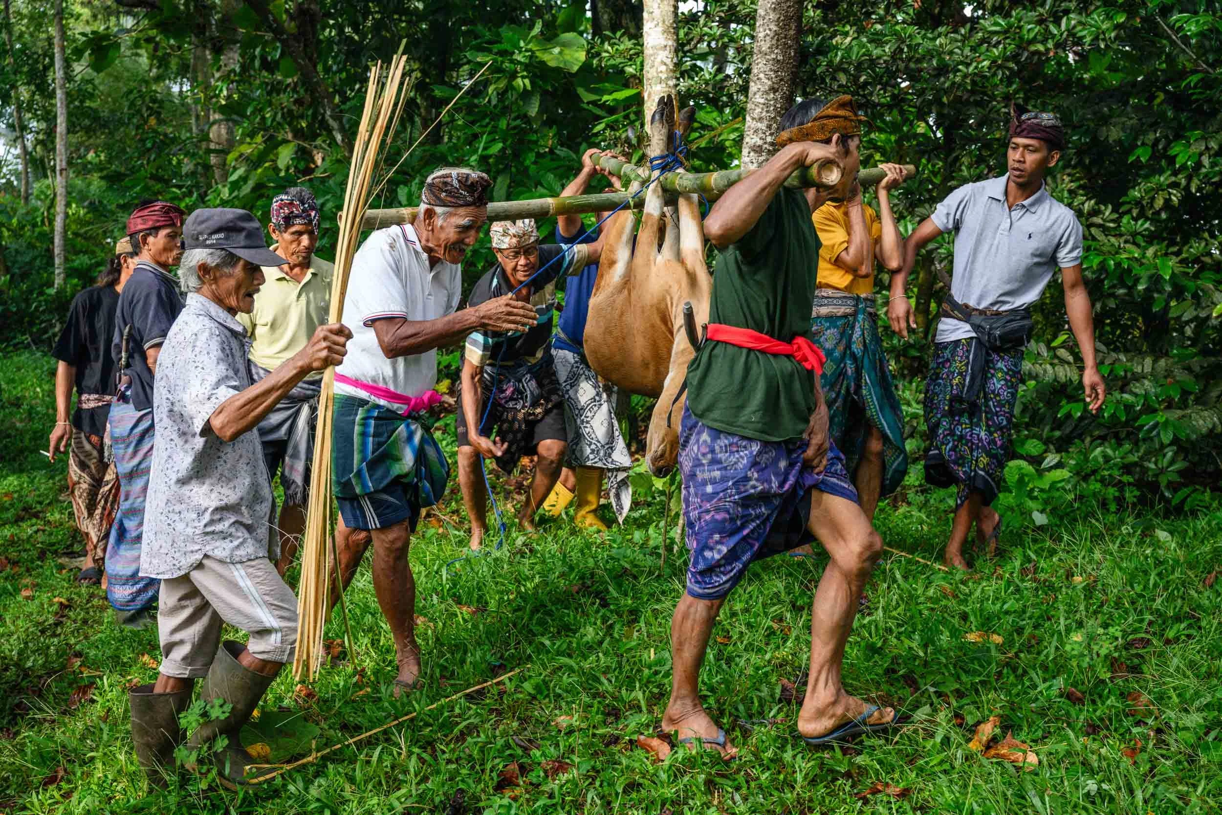 bali_web-12.jpg