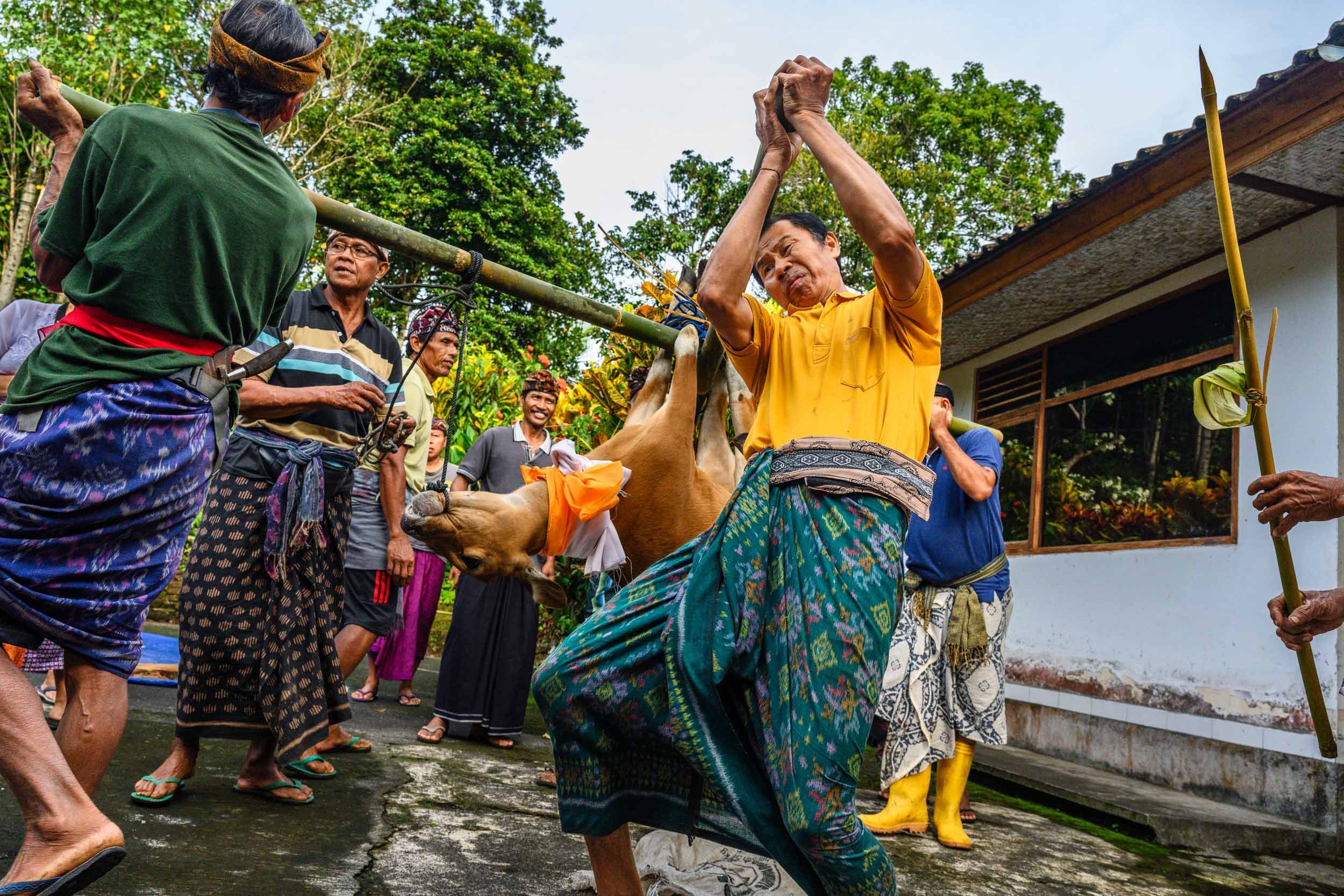 bali_web-13.jpg