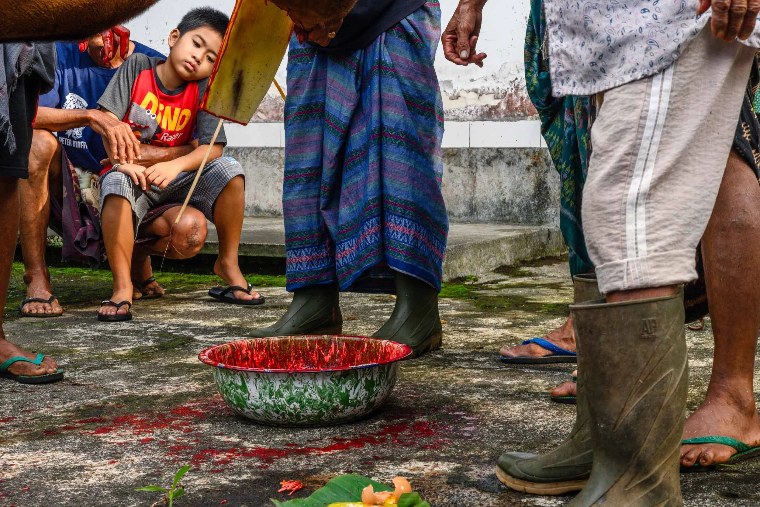 bali_web-14.jpg