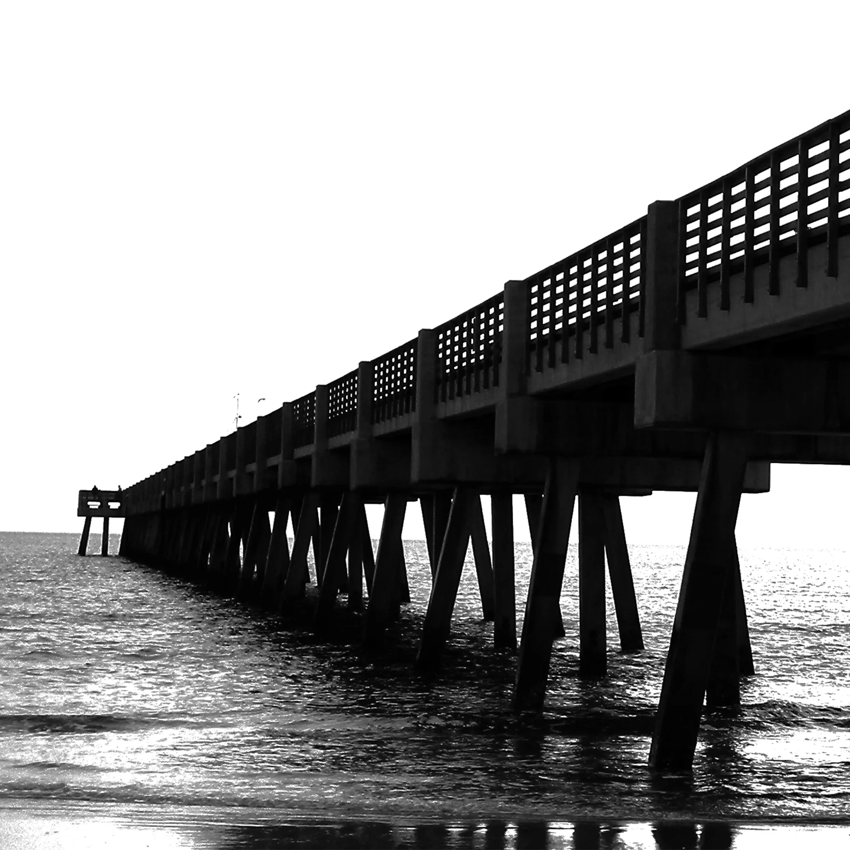 Jacksonville, FL (2010)