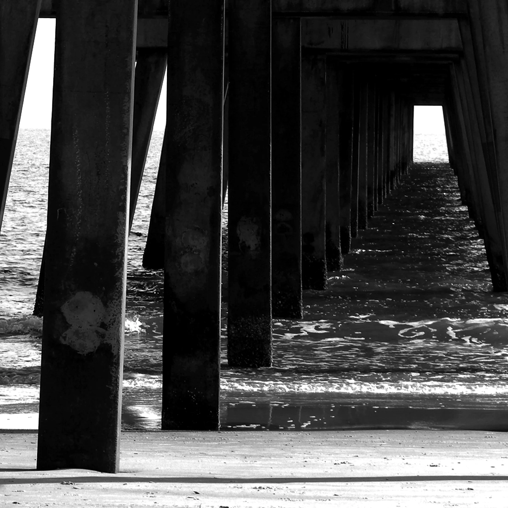 Jacksonville, FL (2010)