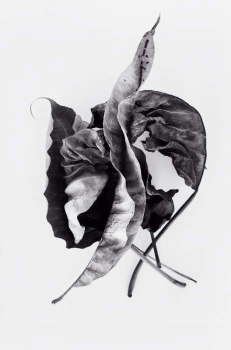 BRIDGEMAN GALLERY EDITIONS