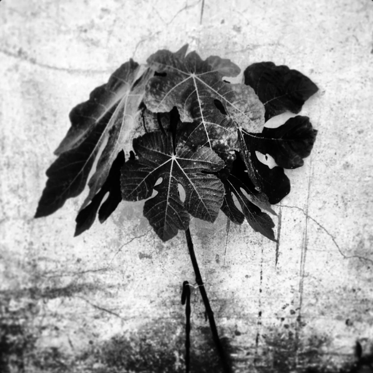 SAND ET EMMANUEL BRETON