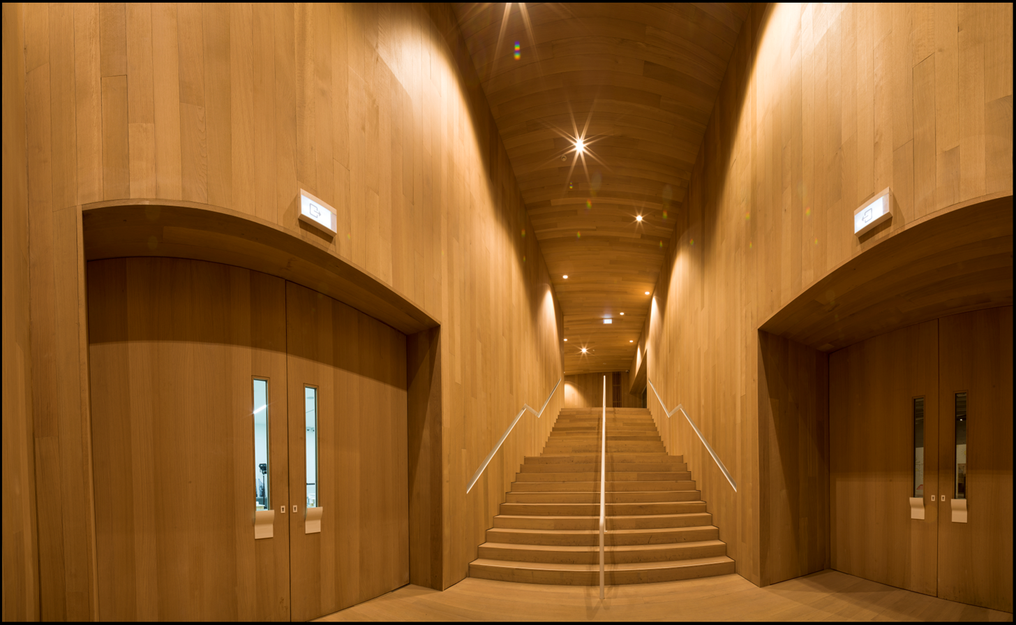 SW08 RUDY DE KEYSER WOOD