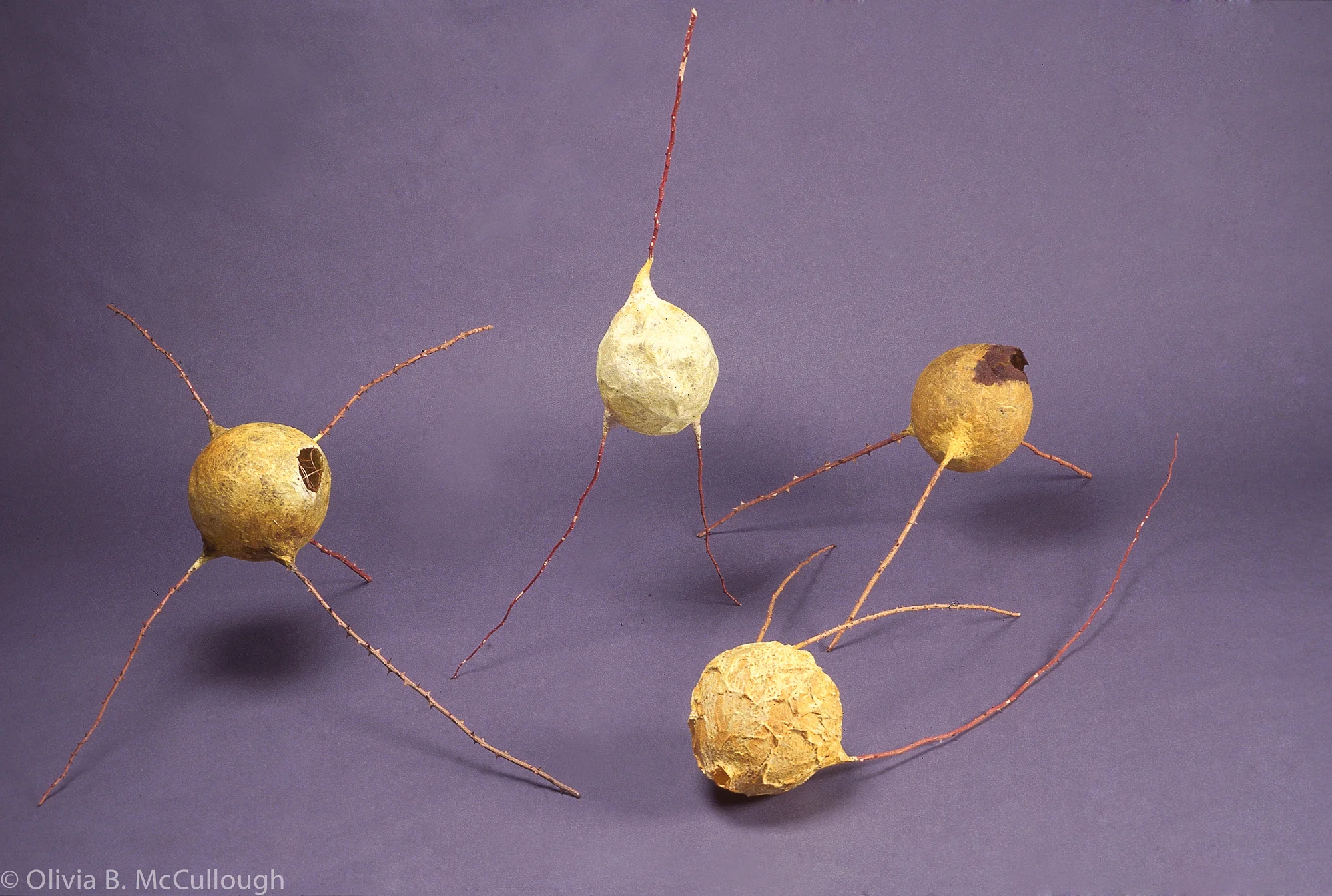 Untitled group (from Empty, yet fertile spaces)