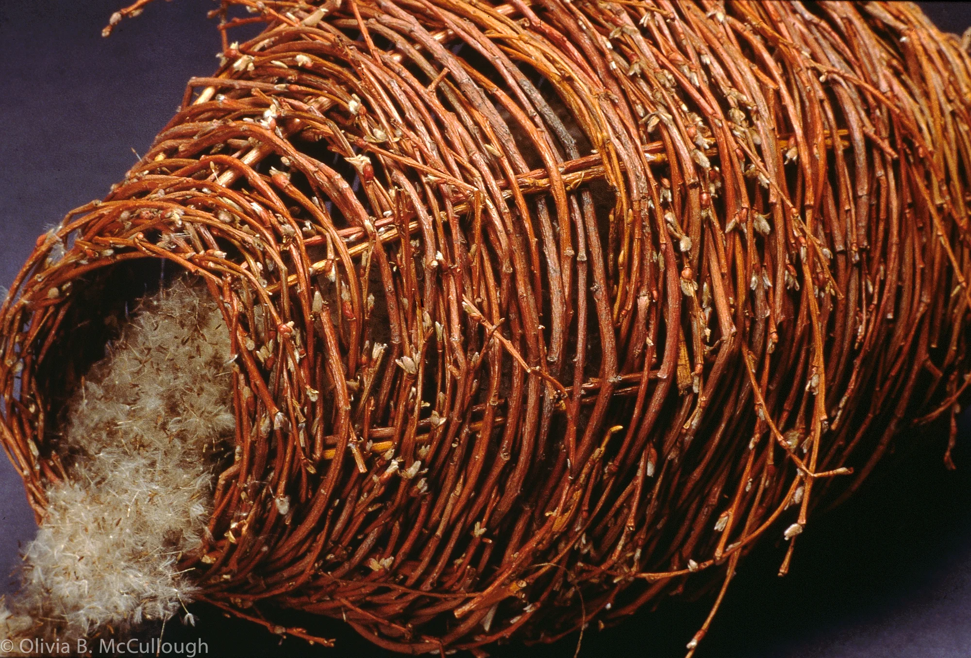 Willow vessel (detail)