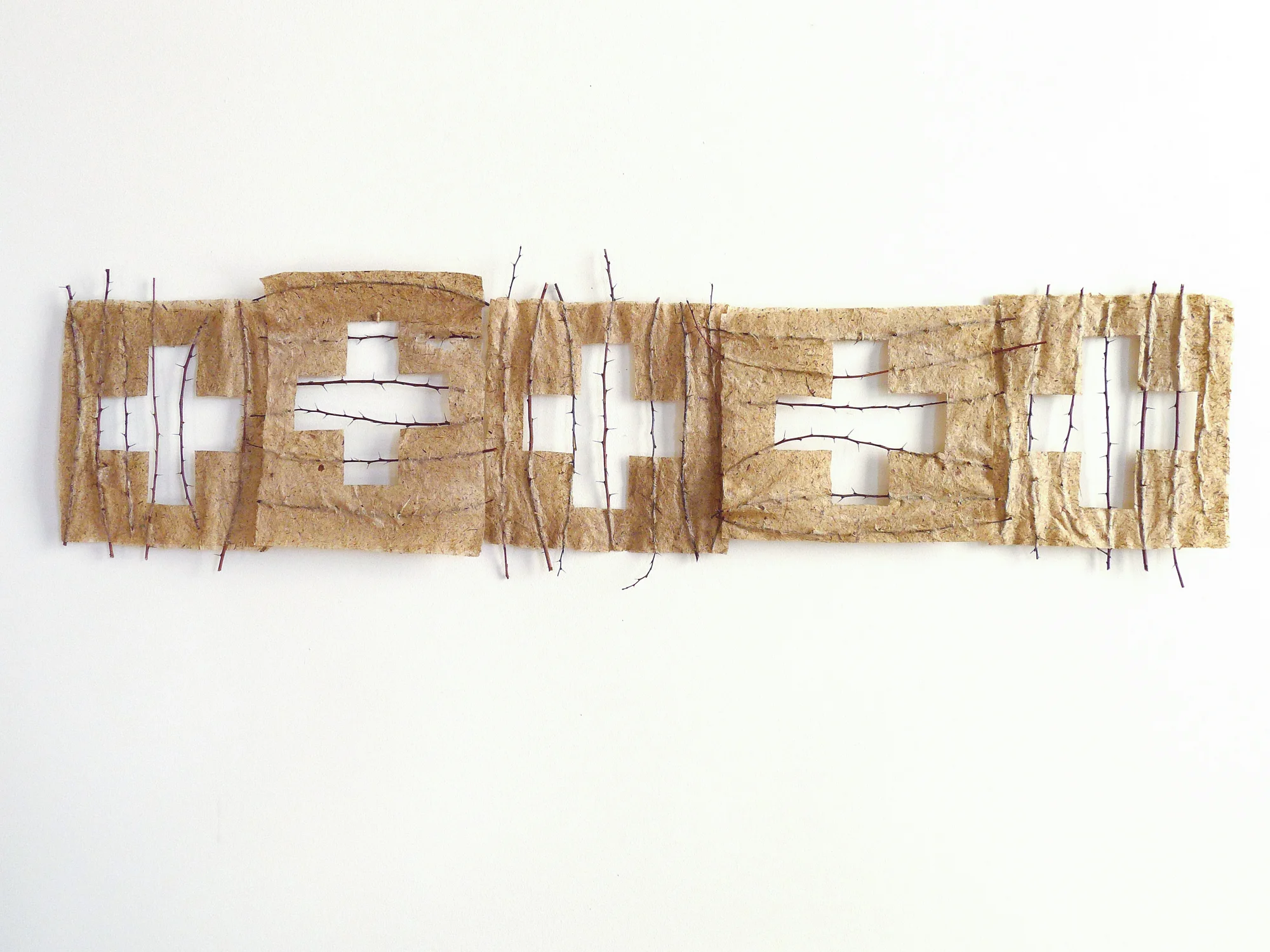 Book of Thorns (torn pages)