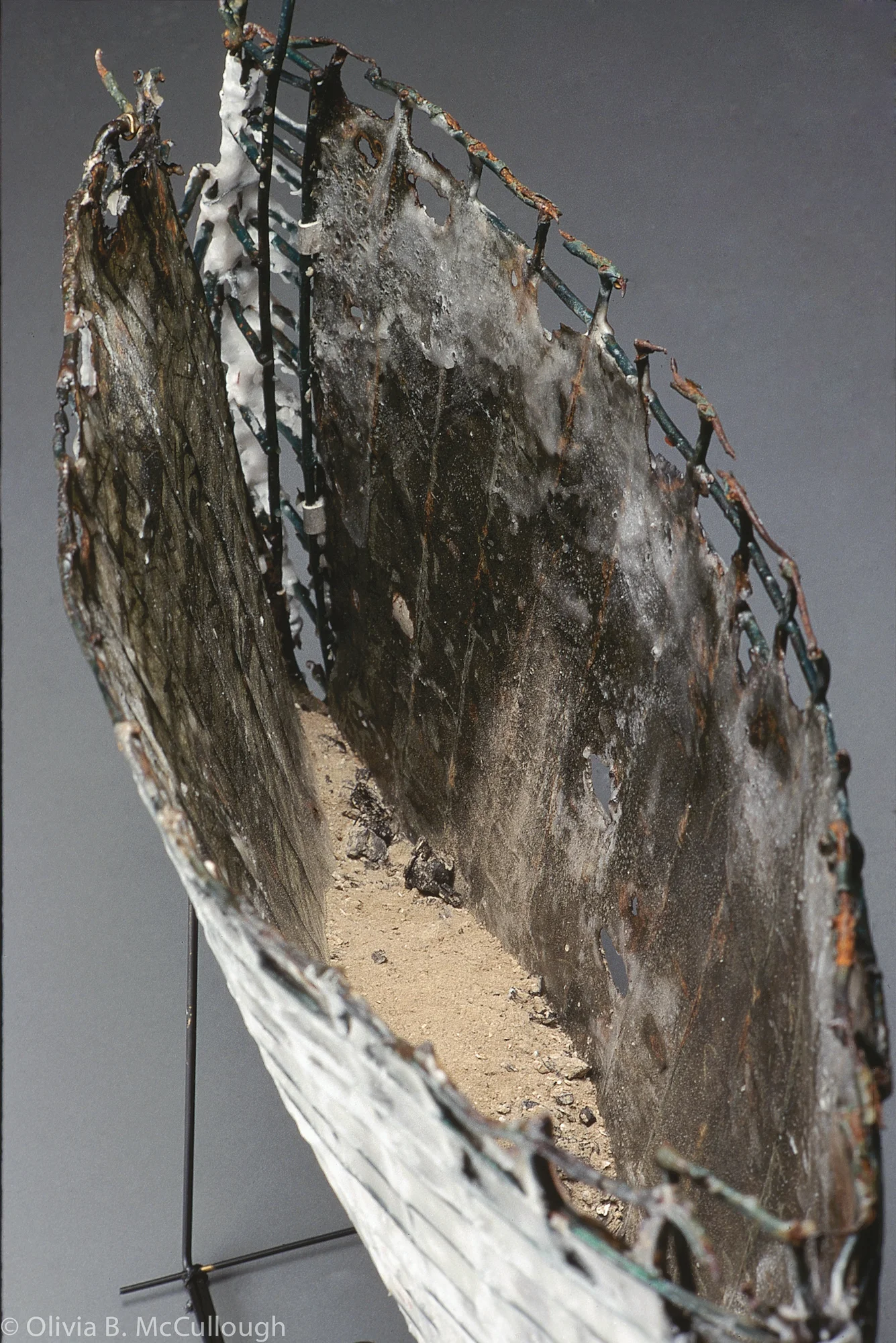 Elements I. Detail (from LIFEboat series)