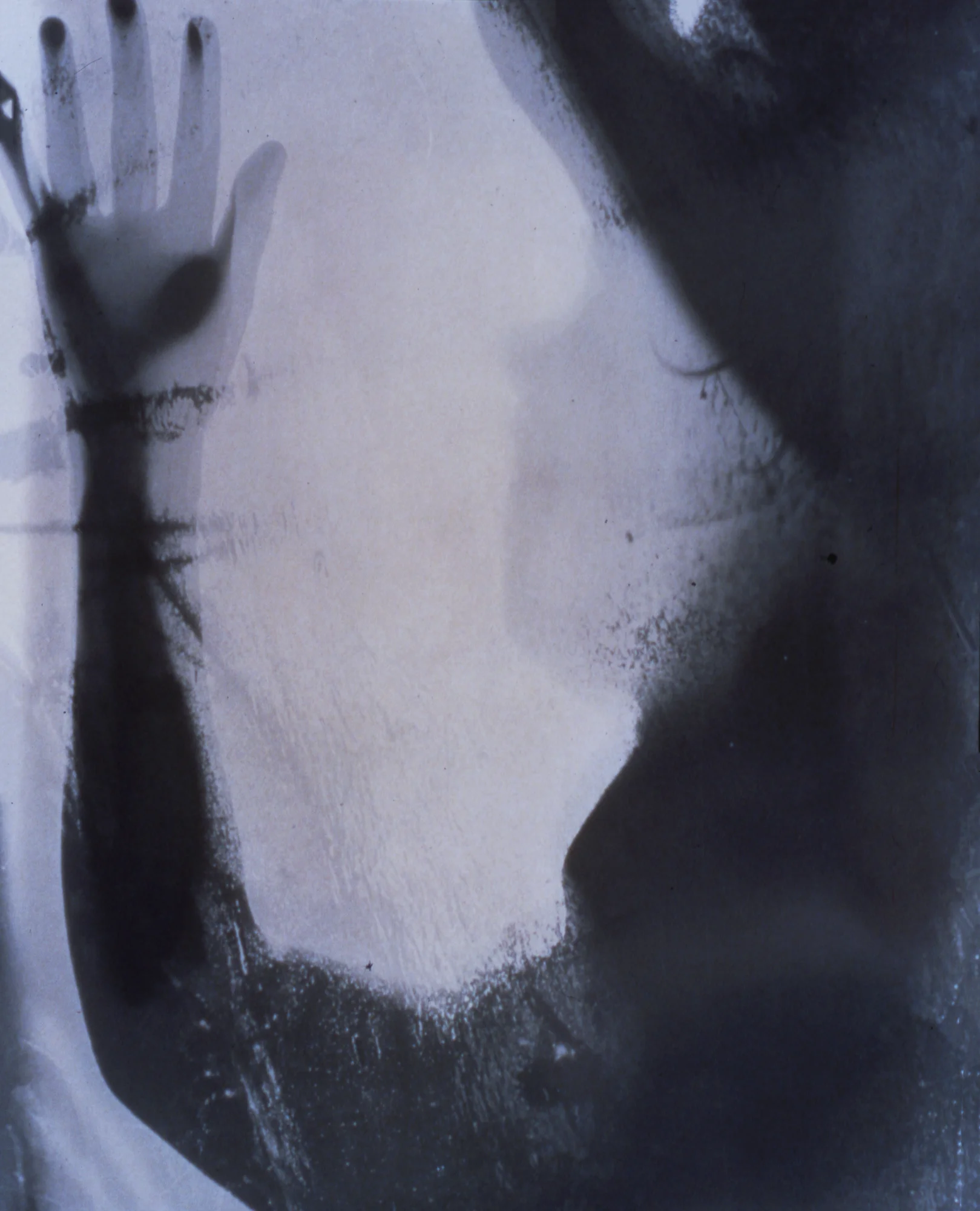 Temporal Body, Series 2