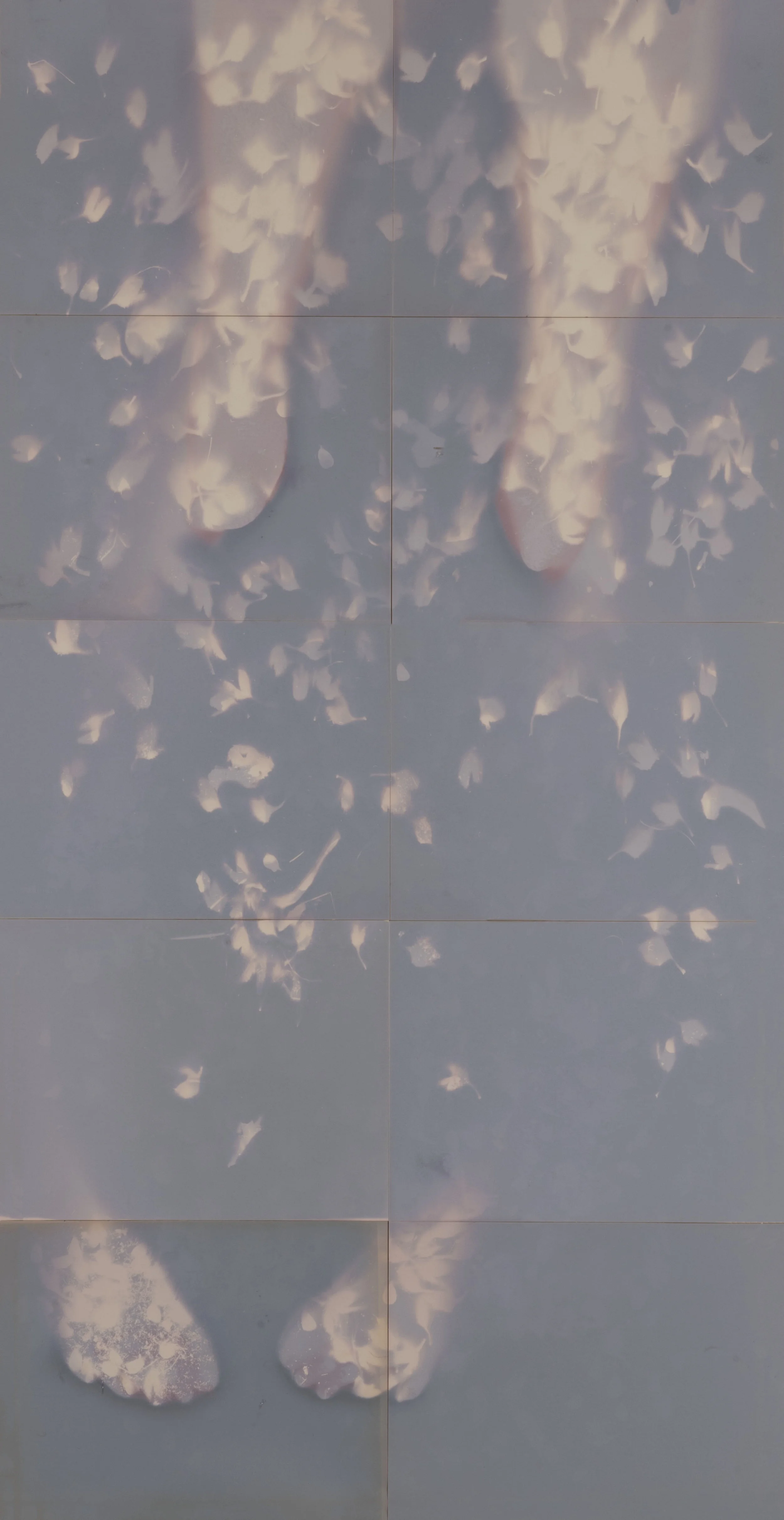 We are but dust and shadow II