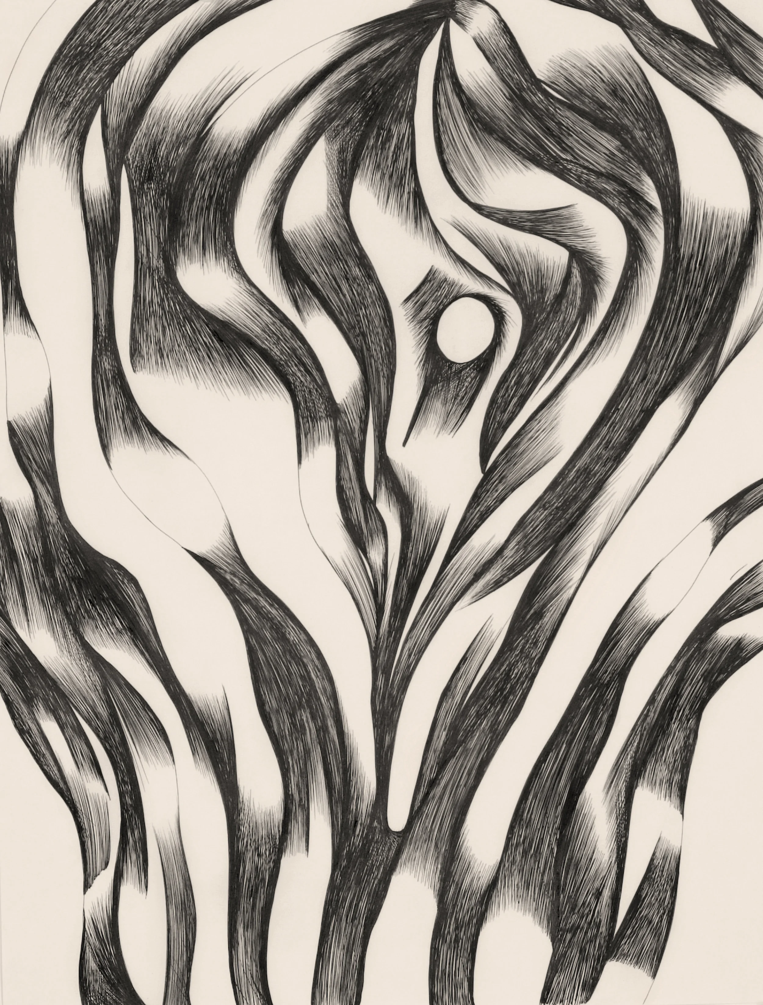 Drawing Closeup