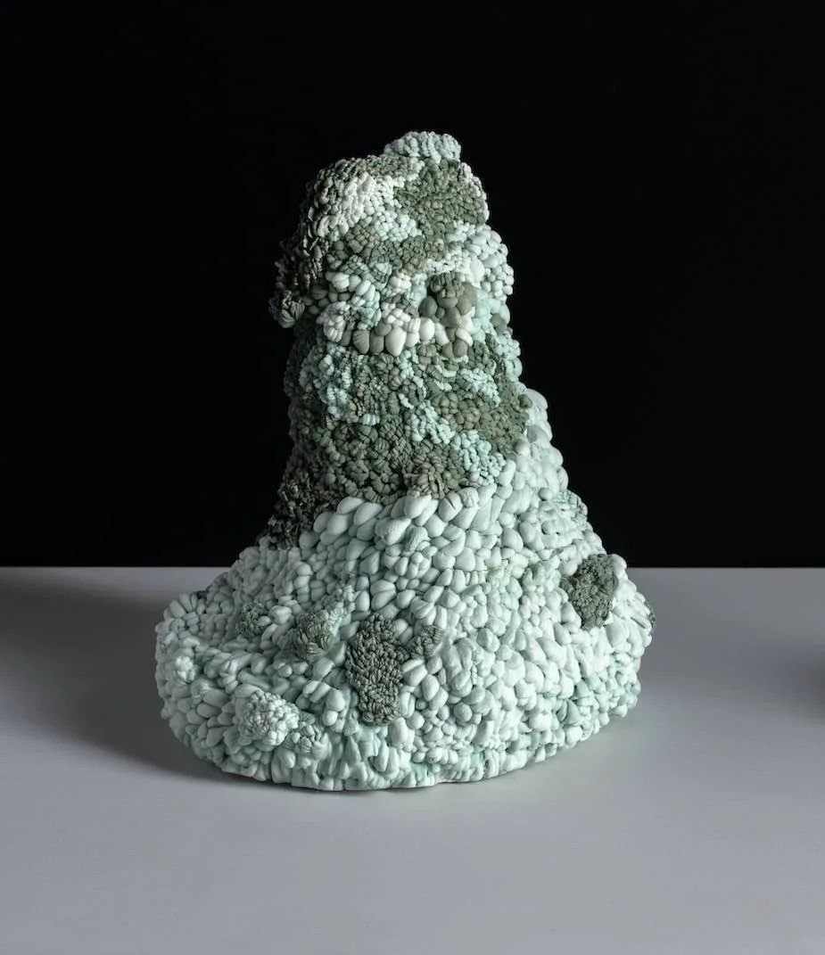 ANNE GIBBS 'Above Ground'