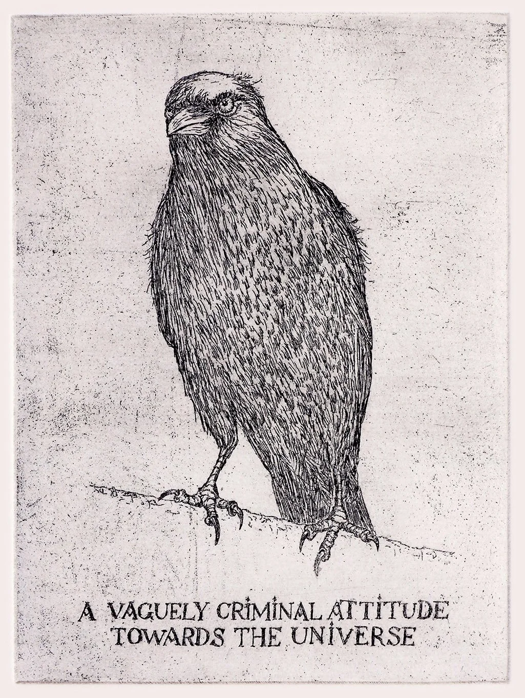 EVA BOCKOVA 'Crow'