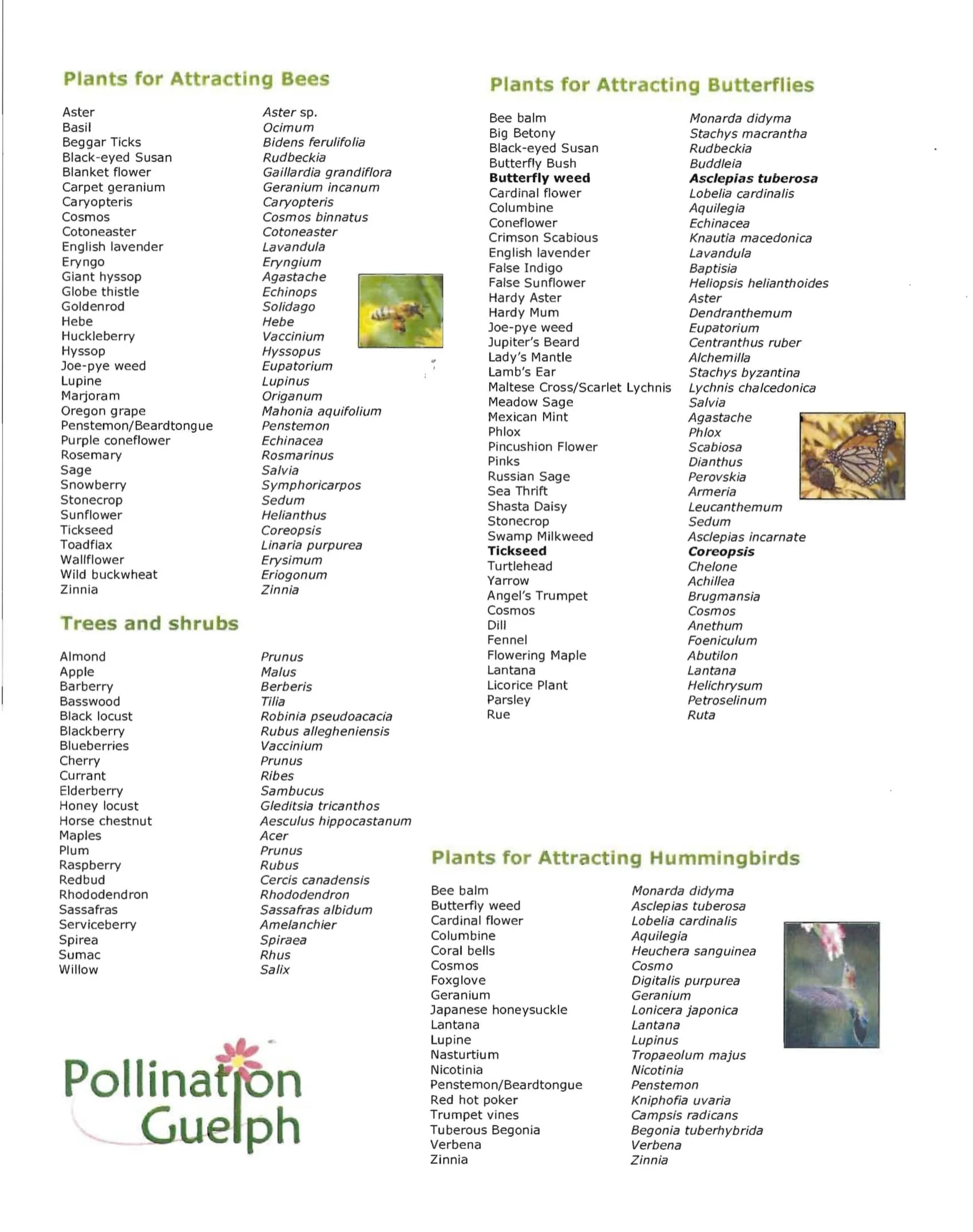 cib pollinator list-1.jpg