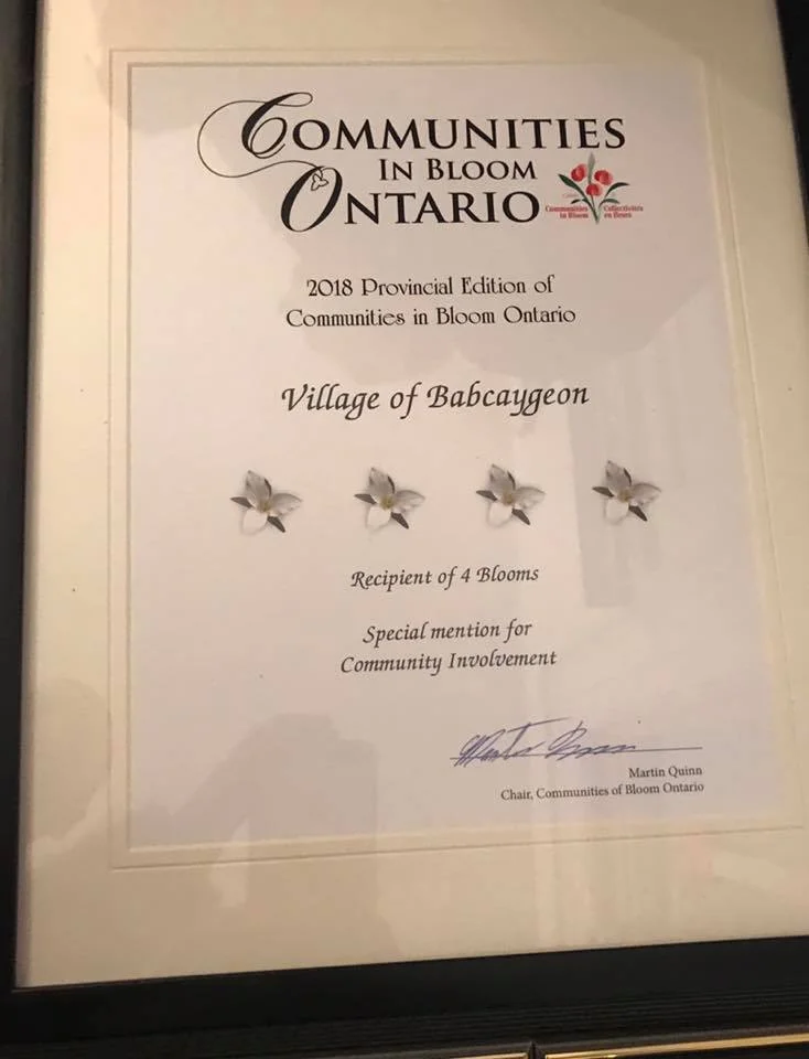 2018 award.jpg