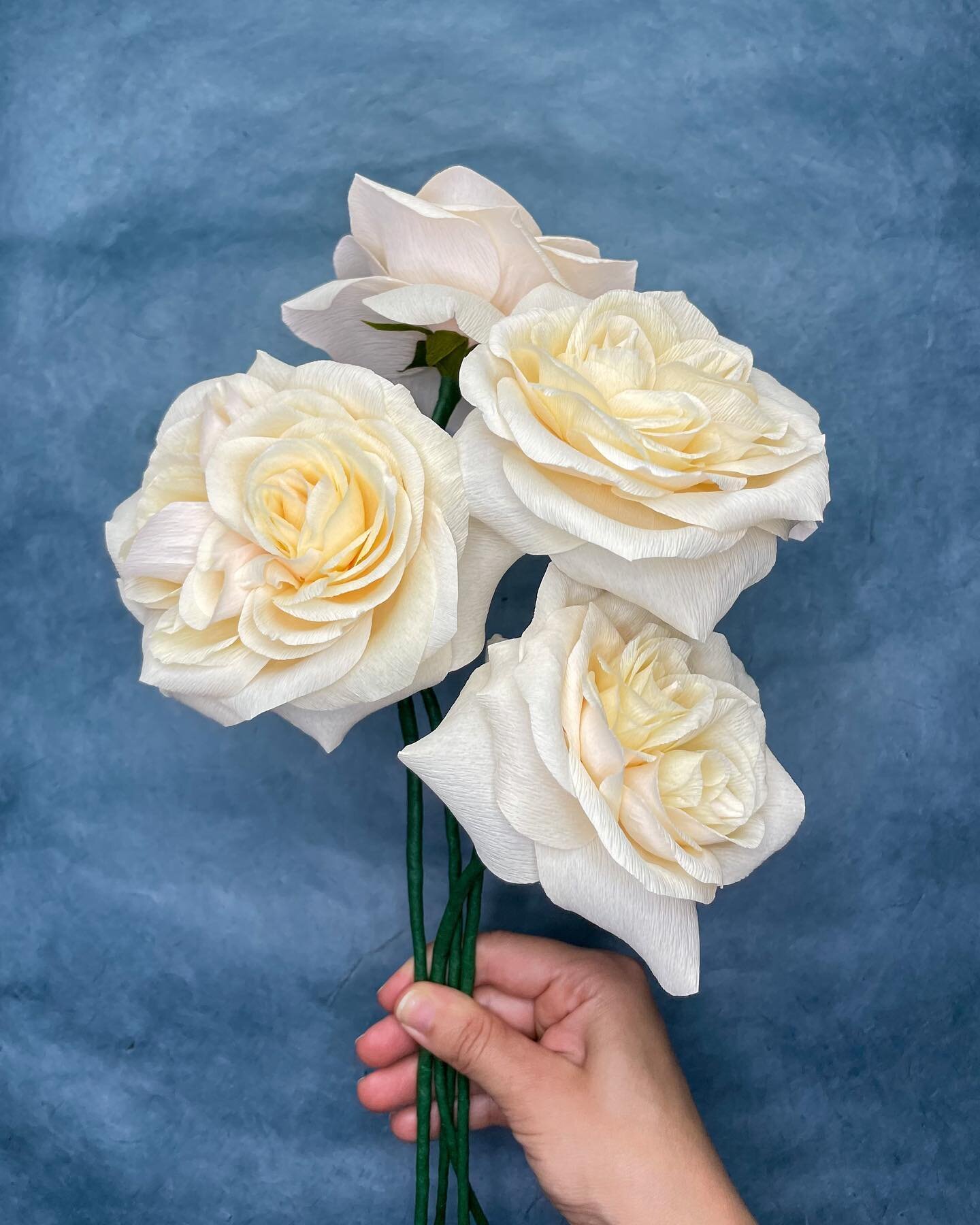 Roses with plenty of swirls. Yes, please! These are simply beautiful.
.
.
.
#crepepaperflowers #paperflowers #paperart #floralart #paperroses #roses #roseart #becreative #floresdepapael #ihabethisthingwithflowers #justbefloral #botanicalart #smallbus