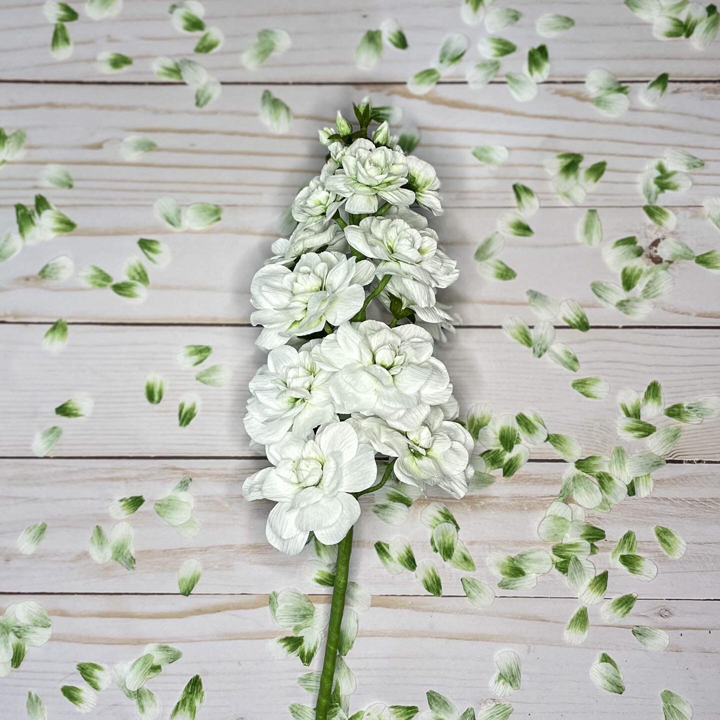 One of my best paintings&hellip;just kidding. This is a Brompton Stock I worked on, but I have a few more to go. The petals are white with a hint of green towards the center of the petals. To me, it&rsquo;s harder than it looks. Each single bloom on 