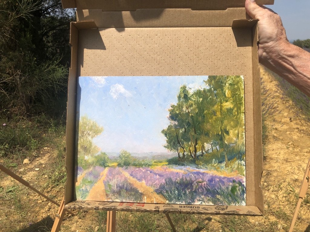 Lavender fields in oils