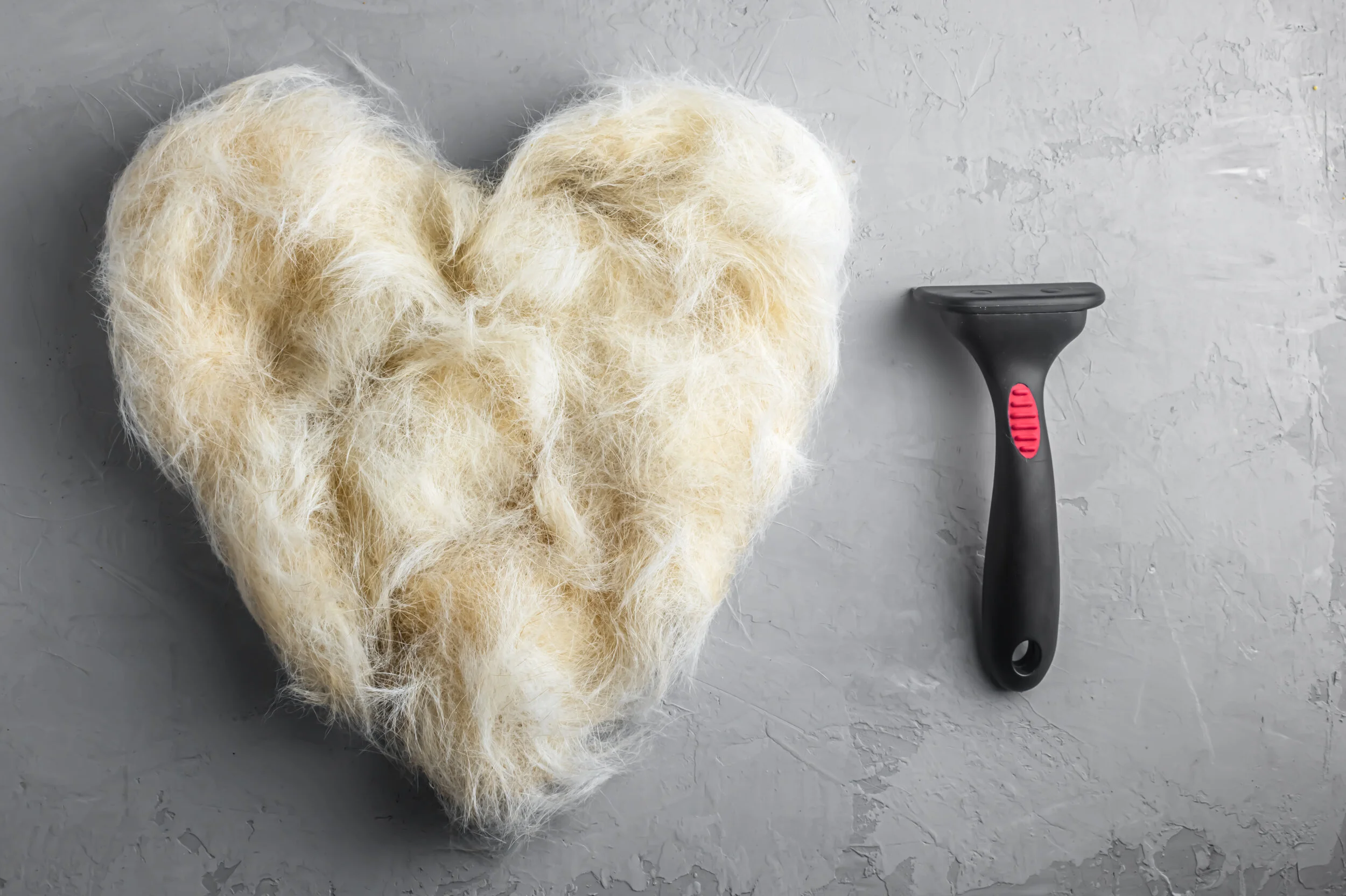 The truth on Doodles shedding &amp; being hypoallergenic .