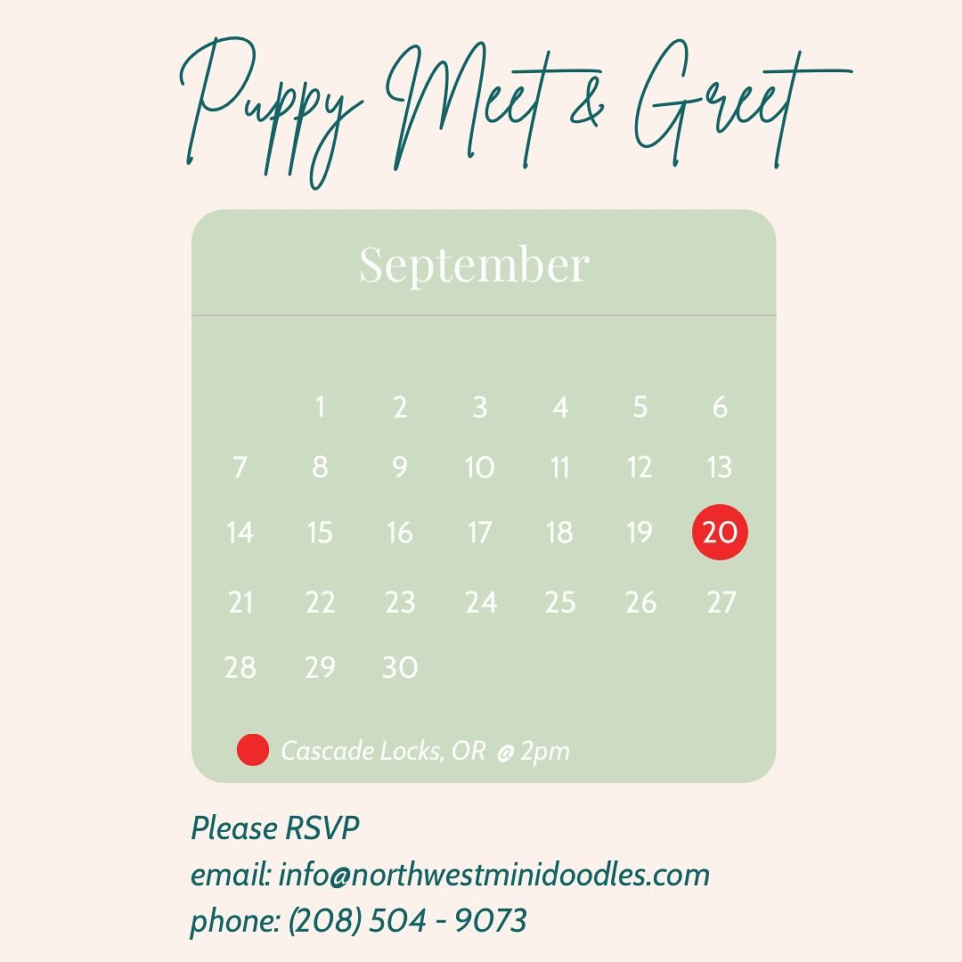 Thinking of getting a puppy? Come interact with available pups and see if you find THE ONE! We are hosting a meet &amp; greet in Cascade Locks, OR at 2pm on 9/20/25. Where you can RSVP to come see all available puppies we have and potentially take on