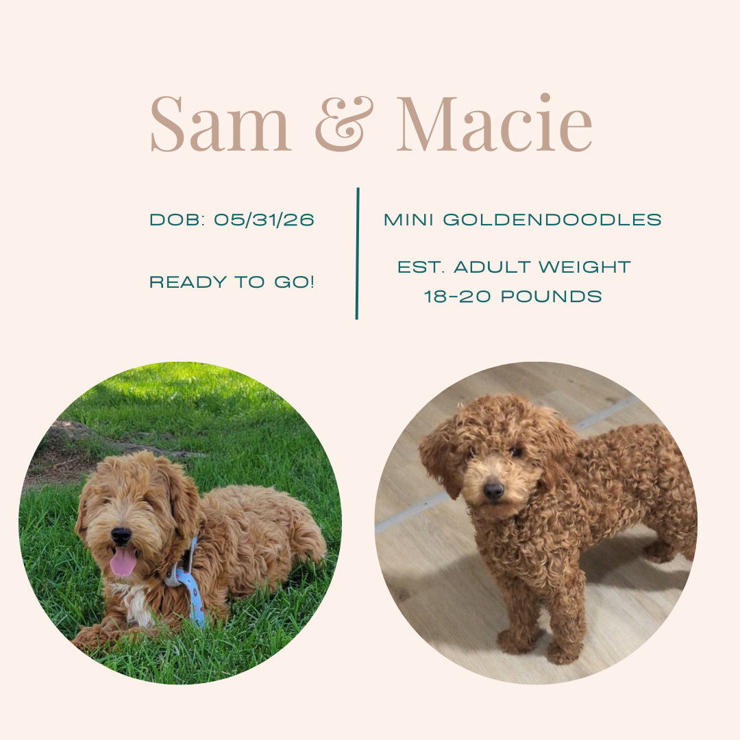 Sam & Macie.png