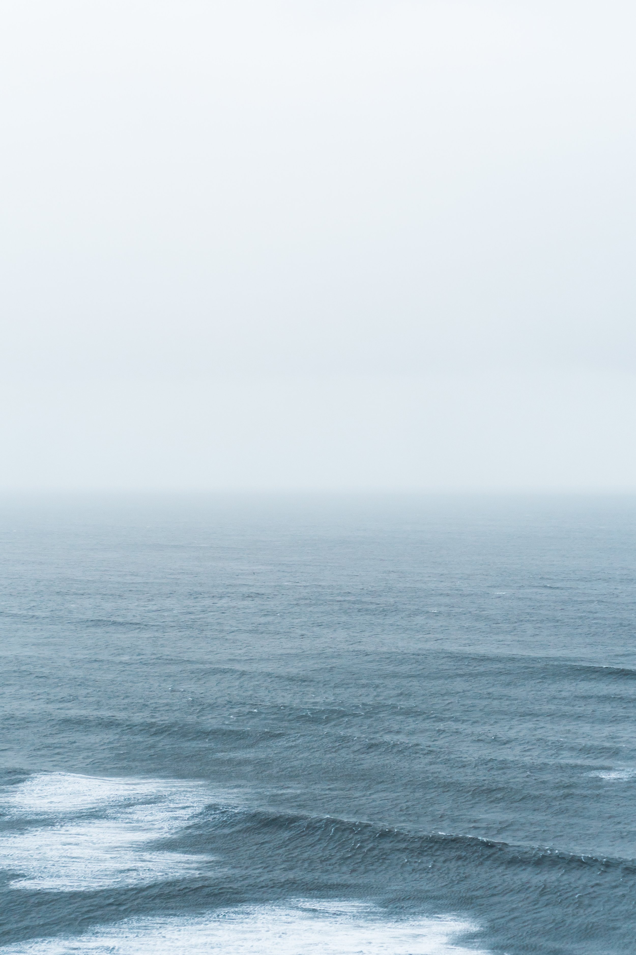 cameron-kirby-158387-unsplash.jpg