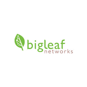 bigleaf.jpg