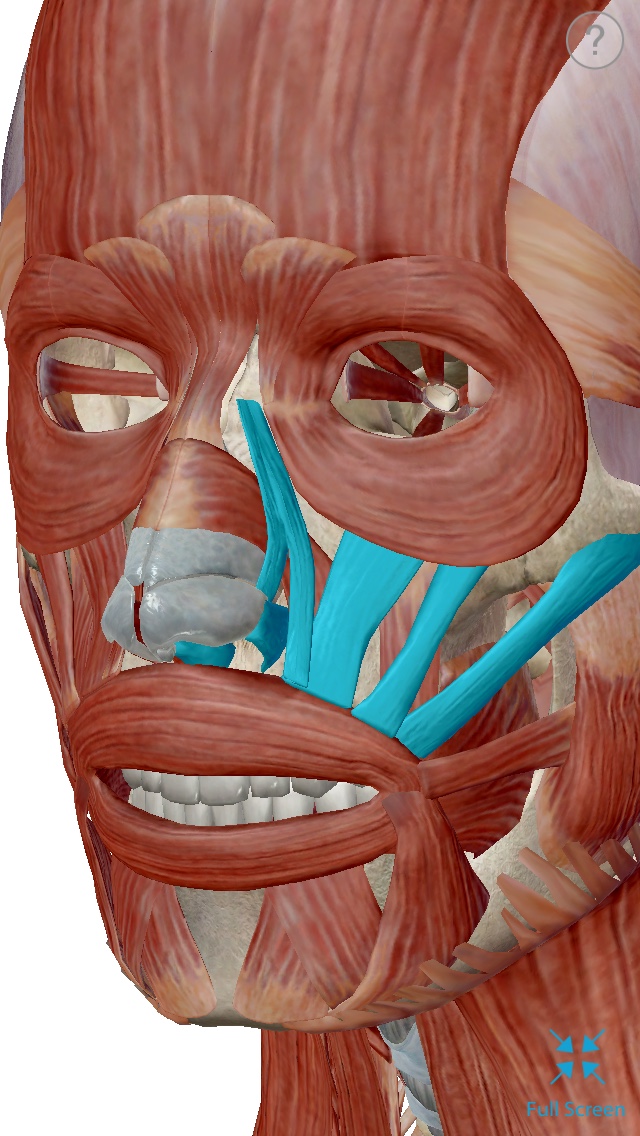fullsizeoutput_1186.jpeg