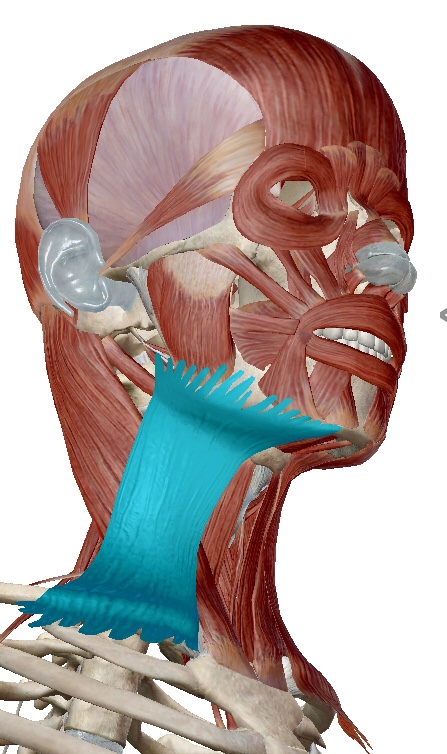 fullsizeoutput_10a8.jpeg